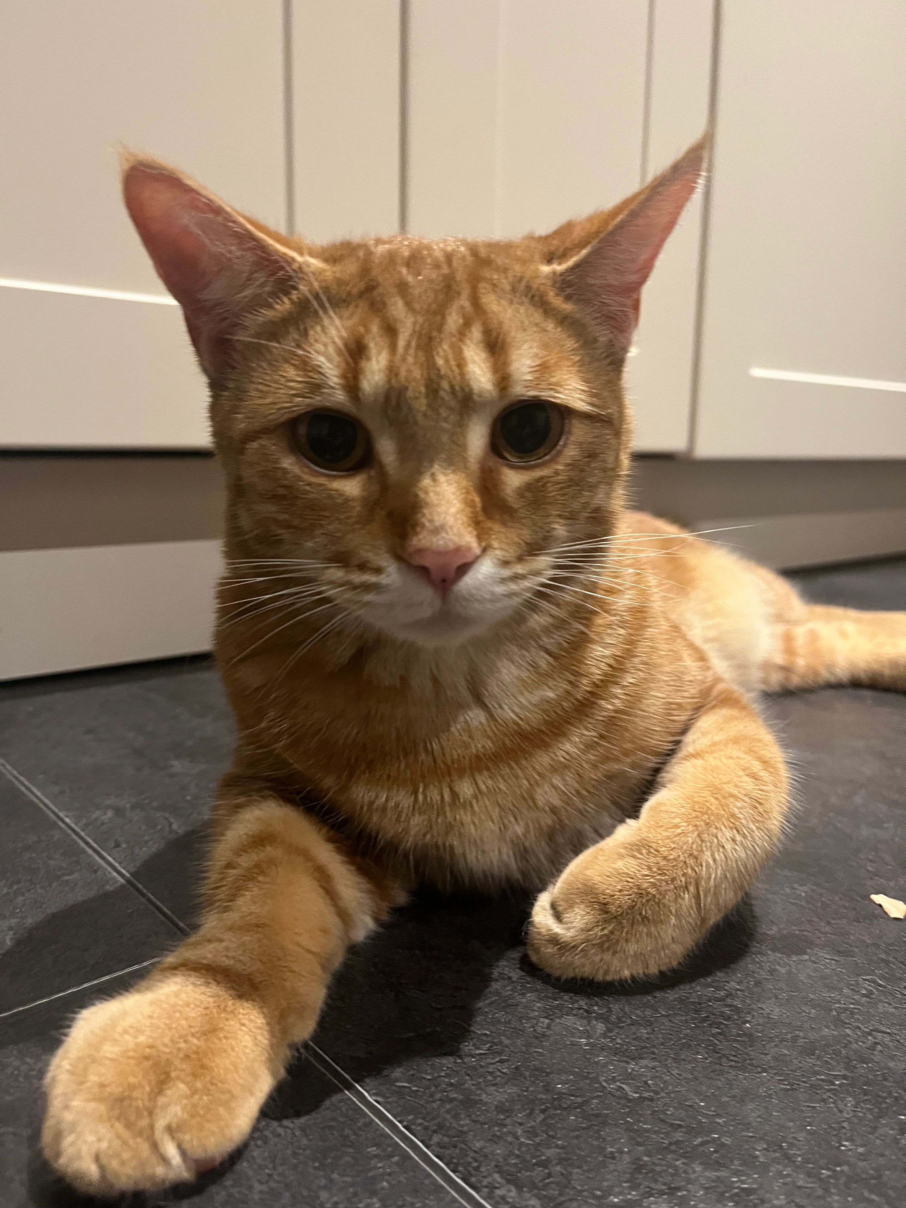 Hugo - Sonnenstraße, Igling