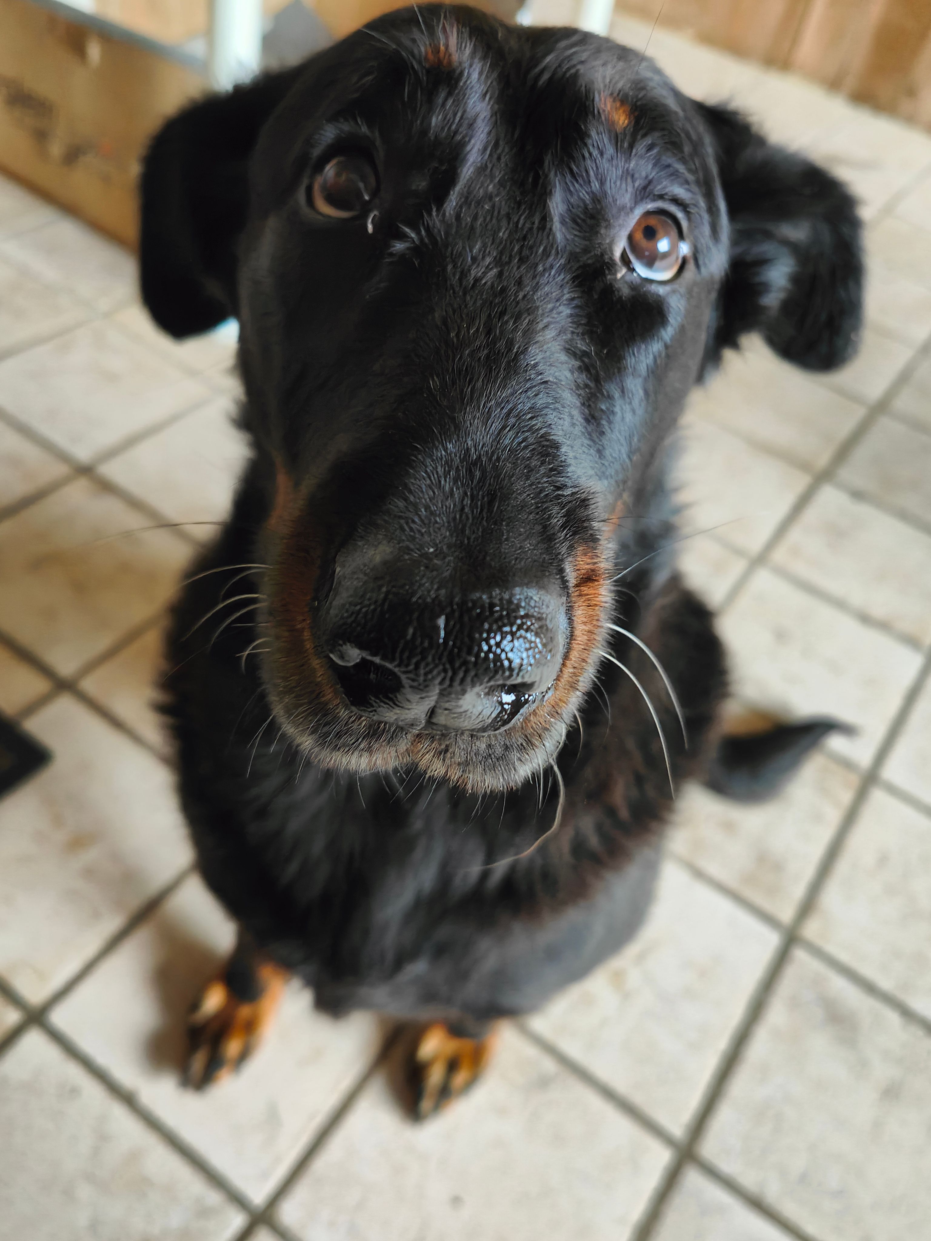 Nala - Route De L’Europe, Saint-Denis-de-Pile