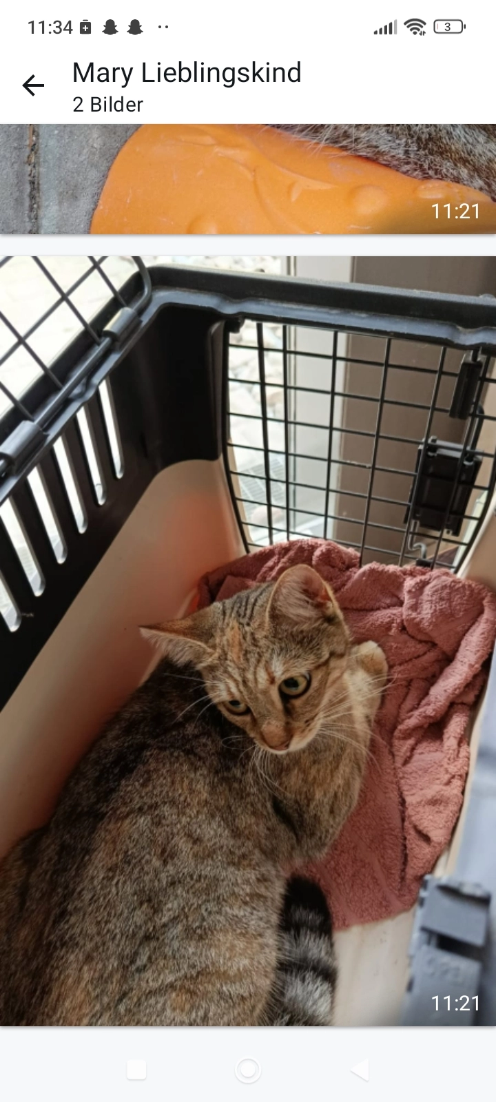 Babylu - Mockritzer Straße, Dresden