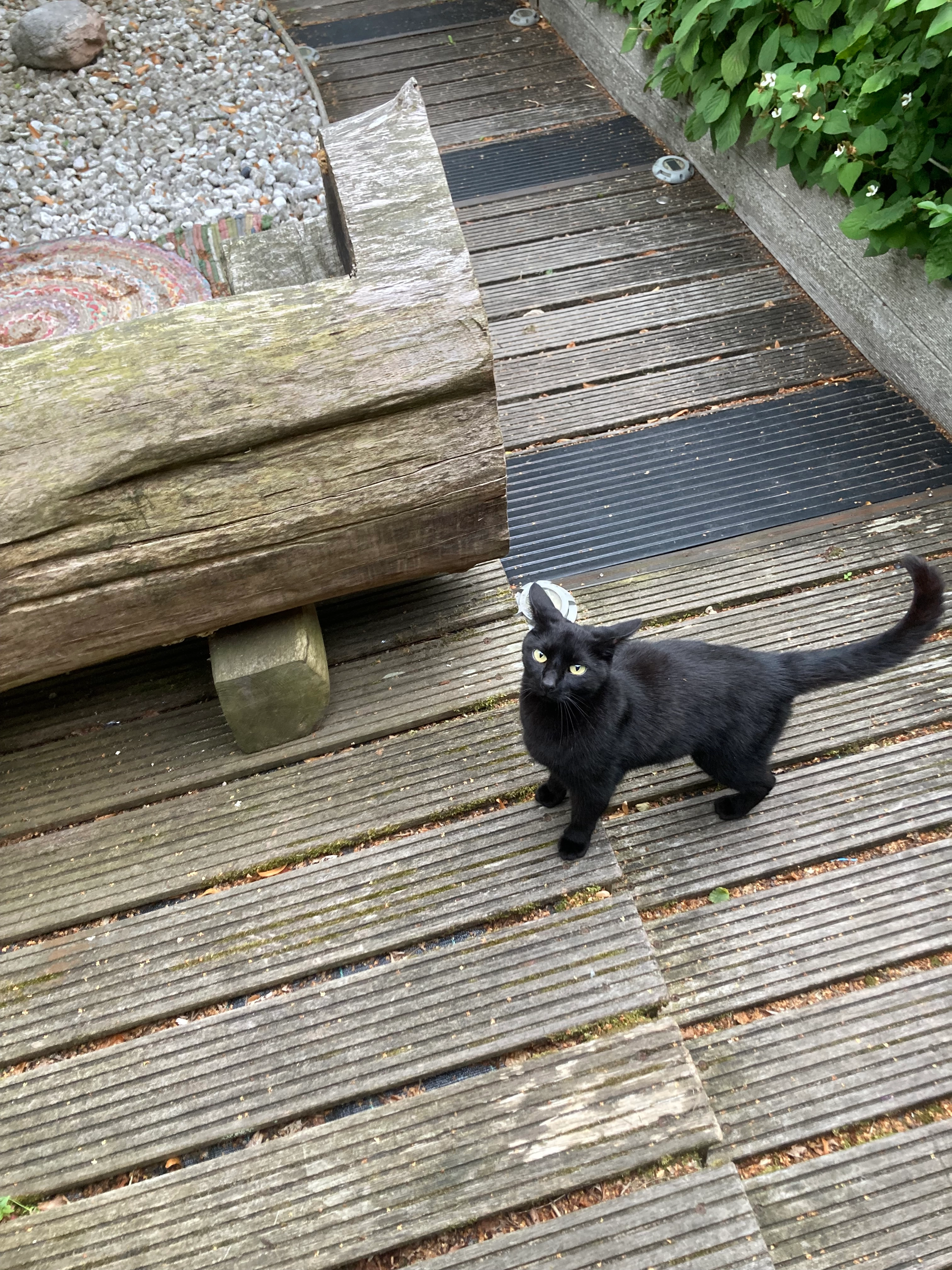 Geen idee - Heldersestraat, Hippolytushoef