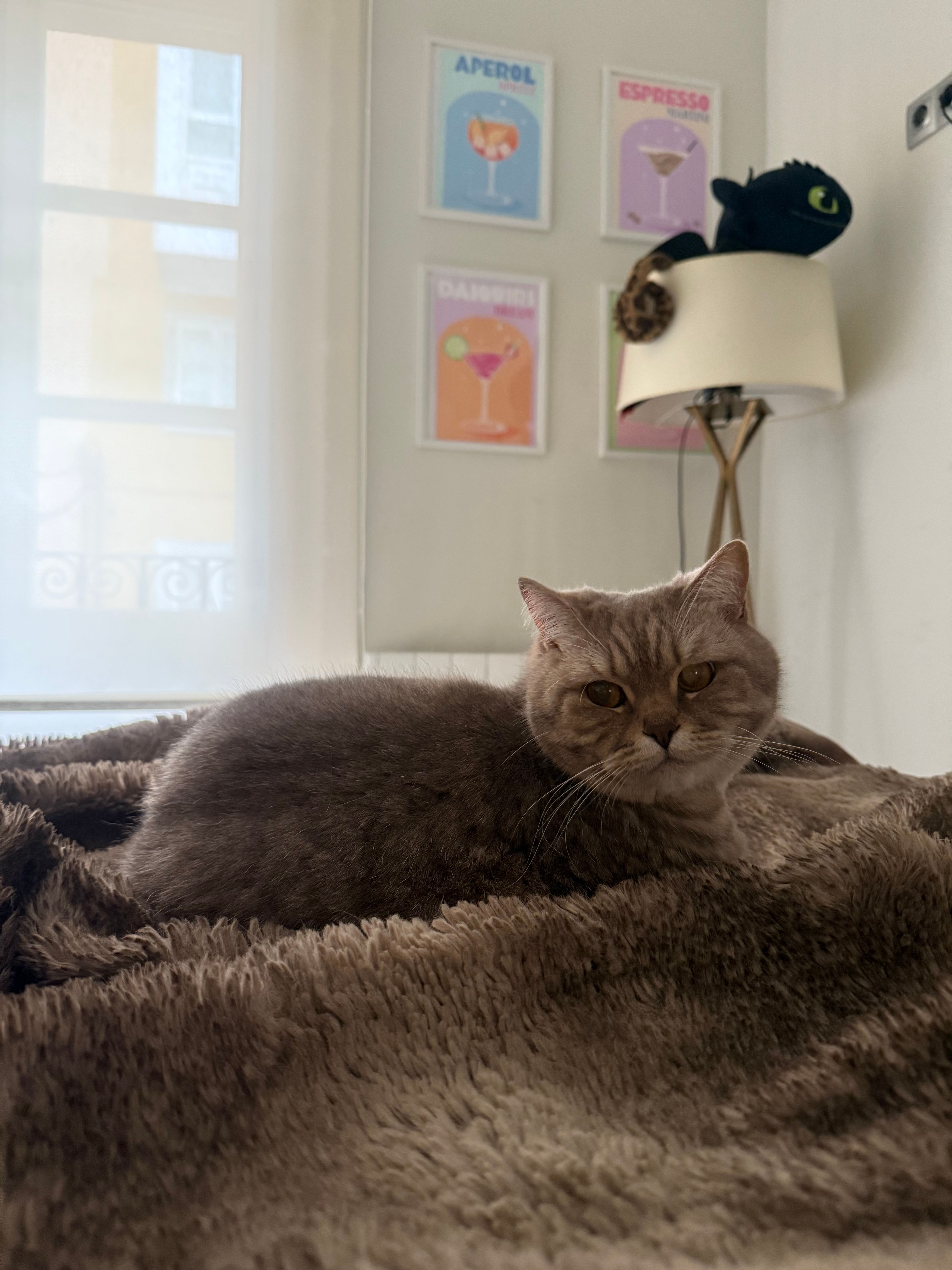 Paquita - Avenida de Pedro Barrié de la Maza 34, A Coruña