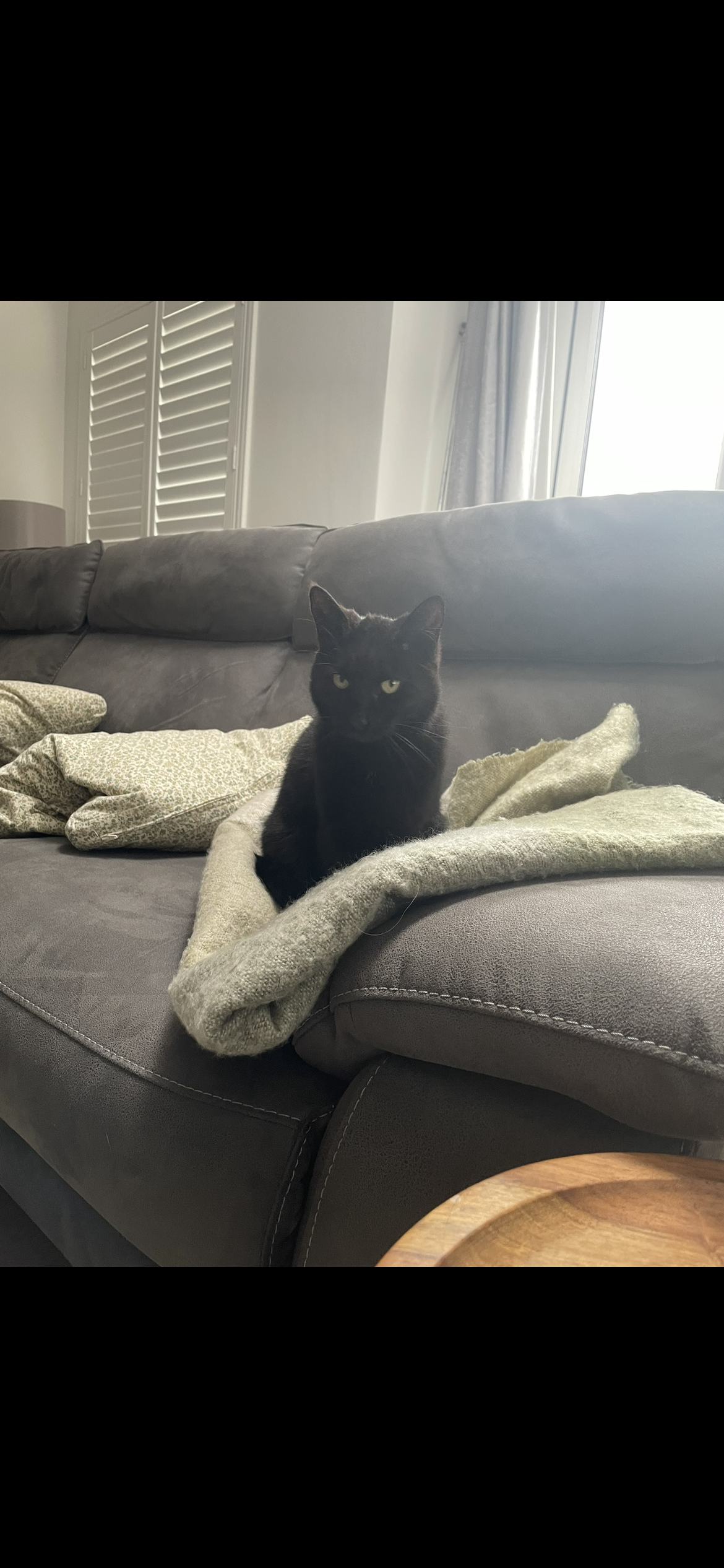 Luna  - R415, Nurney, Kildare 