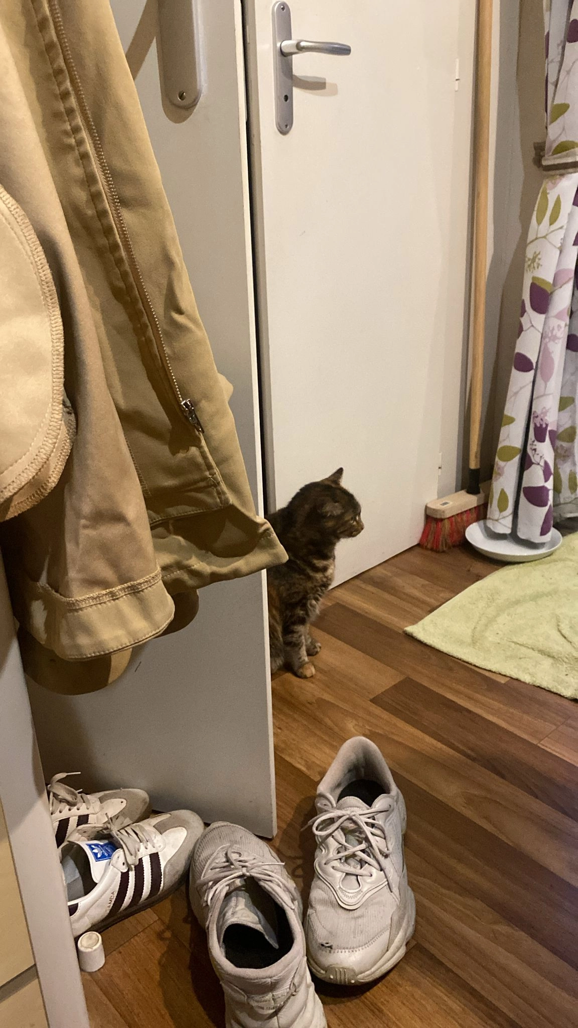 Noisette  - 10 Avenue de la Plage, Labenne