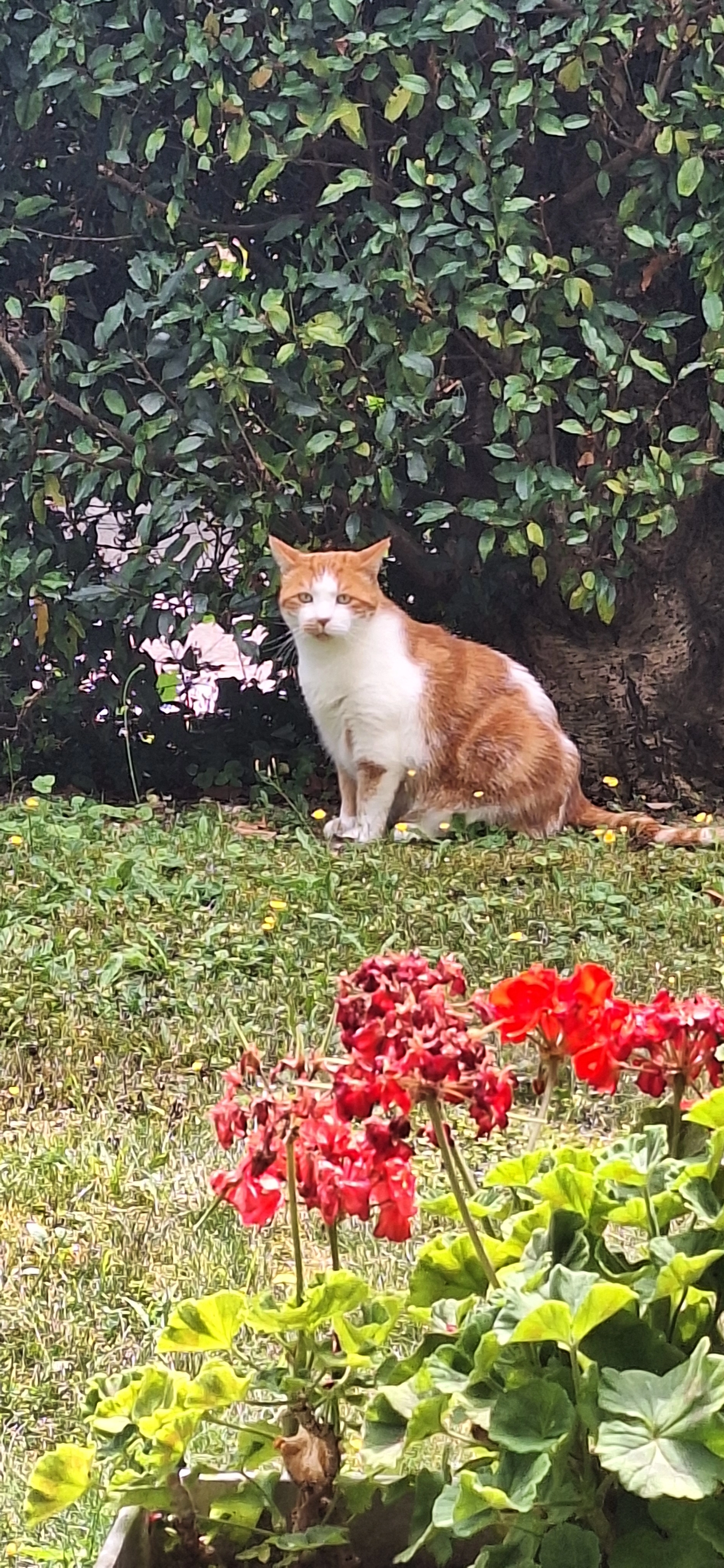 Gatsby - Gumpenwiesenstrasse, Dielsdorf
