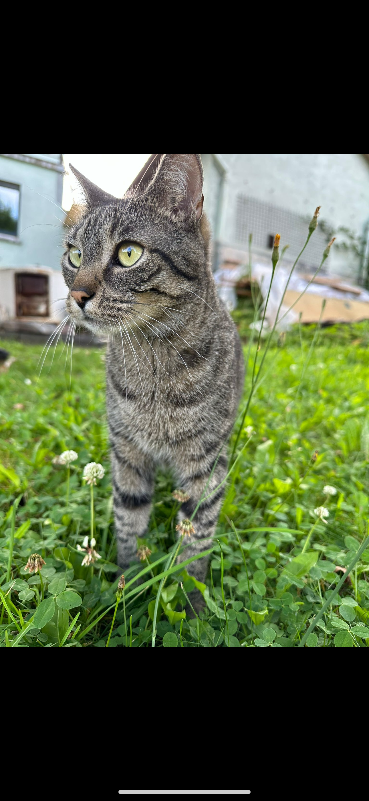 Tupi - Am Weinberg, Nidda