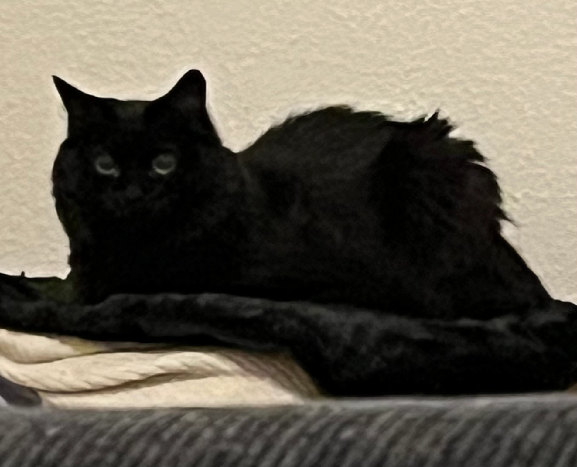 Maze - Rue Nelson Mandela, Héricourt