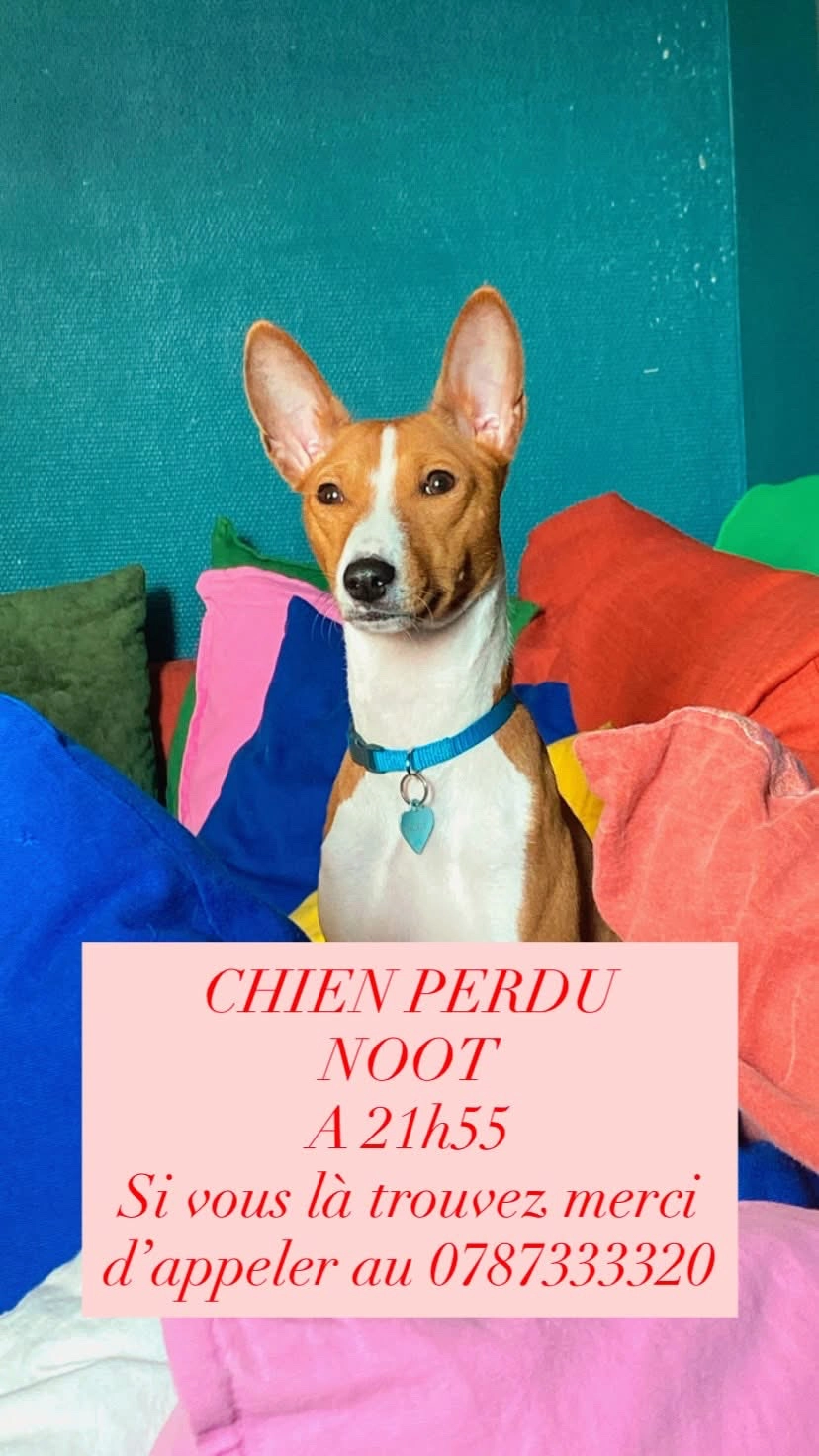 Noot - 2 Rue de Lorraine, Saint-Denis