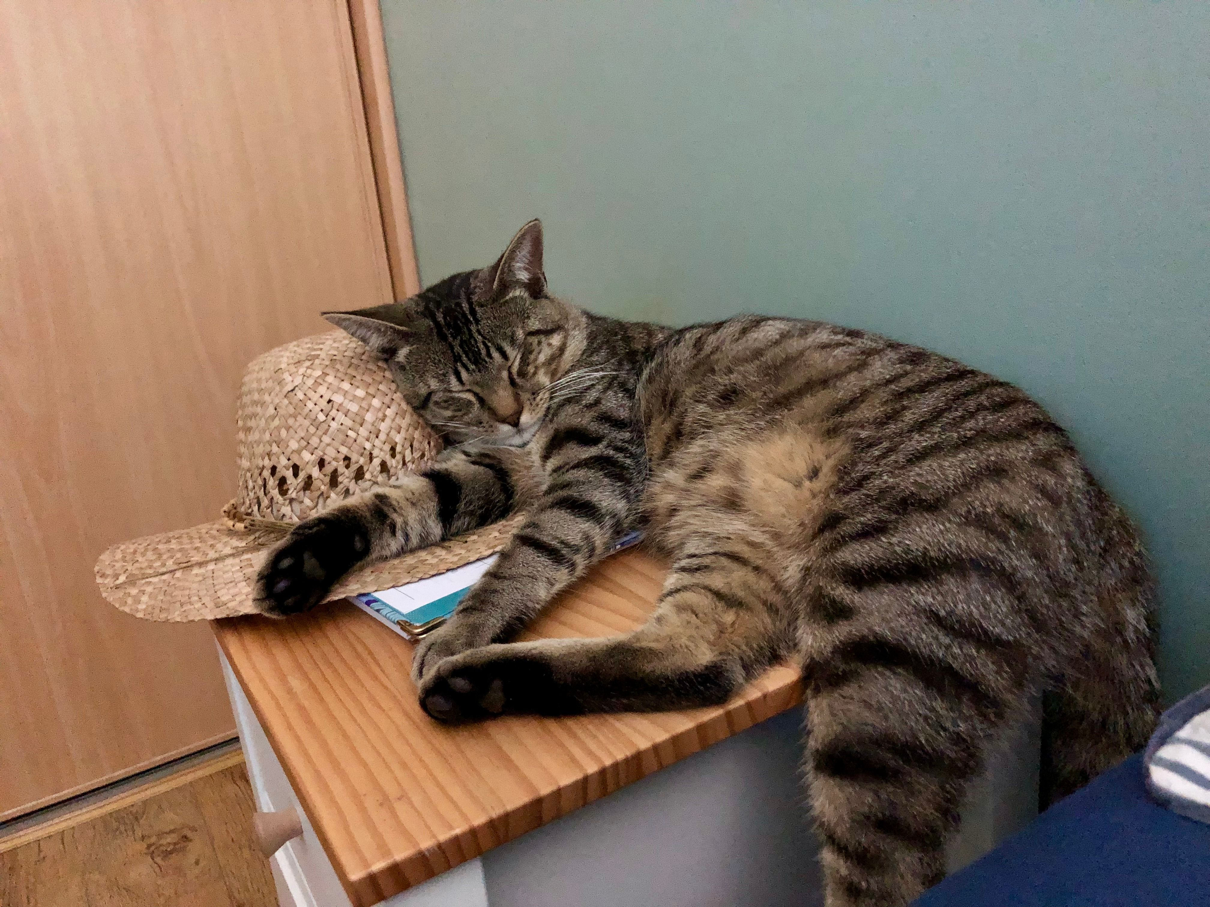 gribouille - Route Ancienne de la Puye, Monthoiron