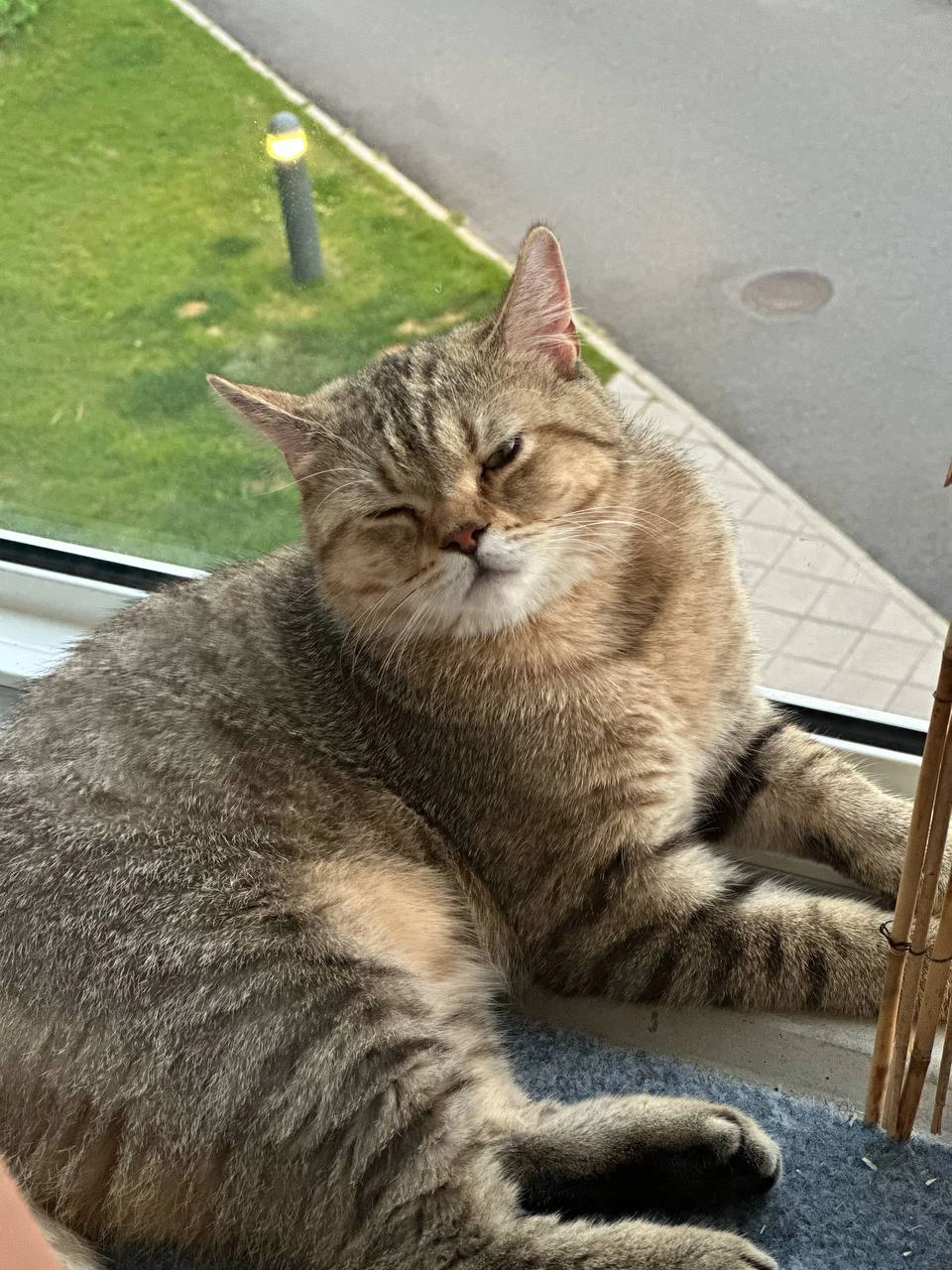 Runo  - Gräsantörmä, Espoo