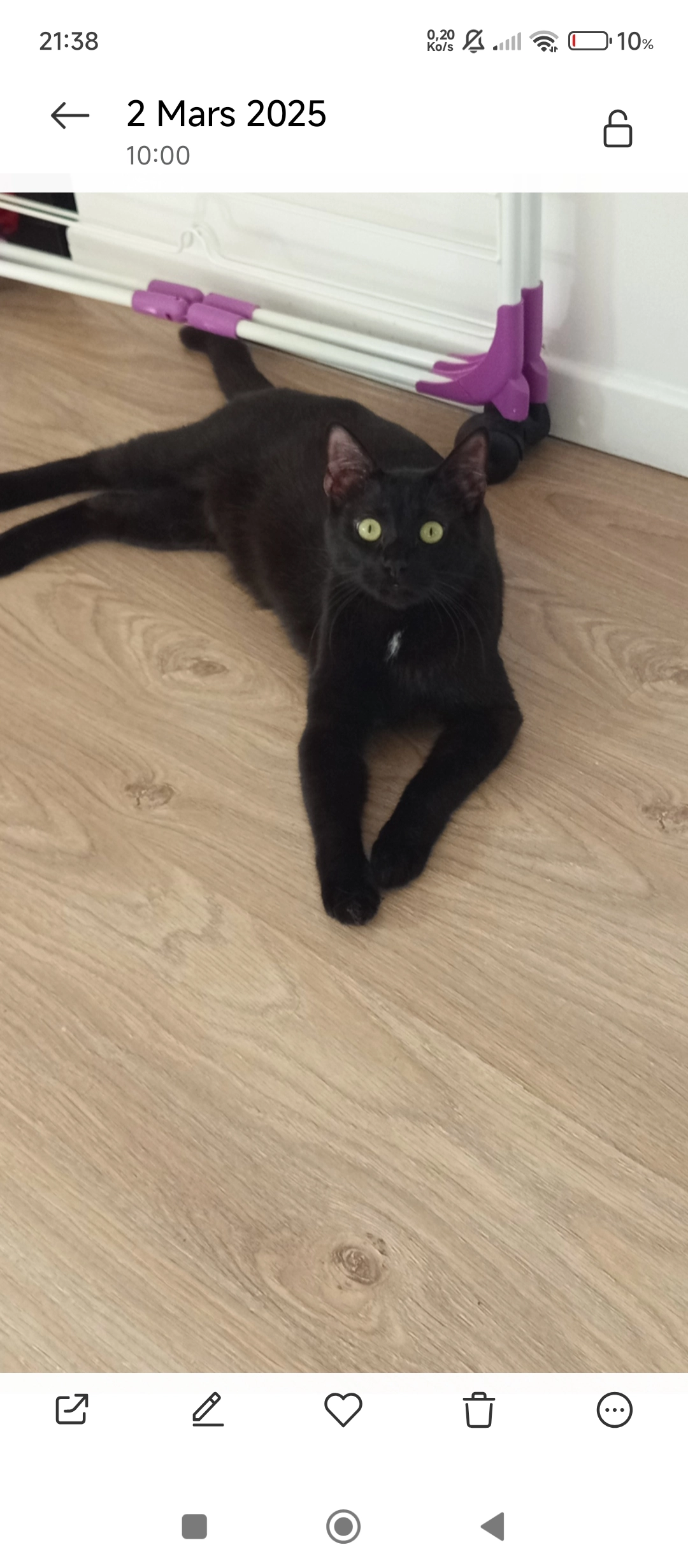 Mimi - Rue du Calvaire, Beuzeville