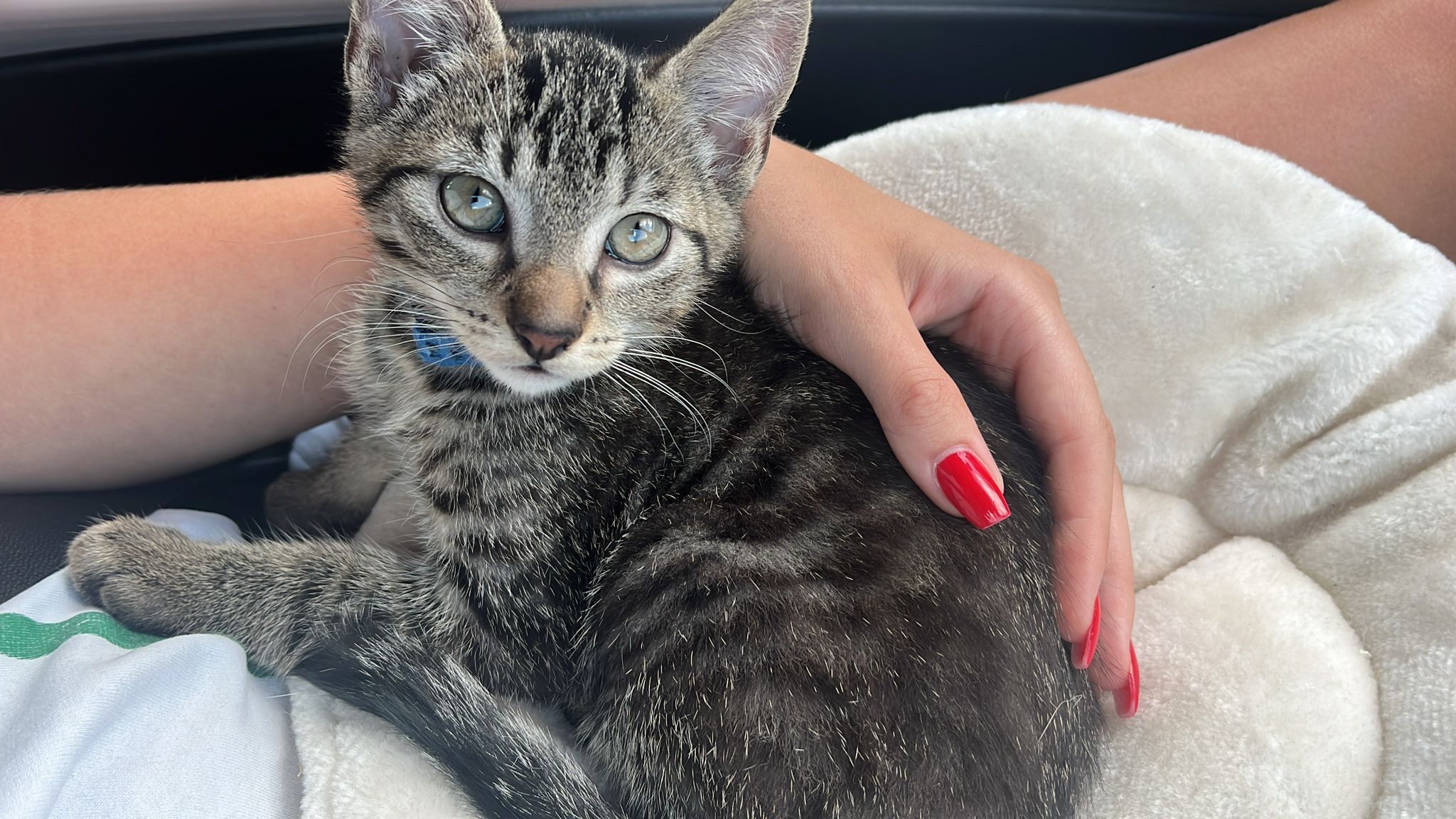 Sammy - Frotheimer Weg, Espelkamp