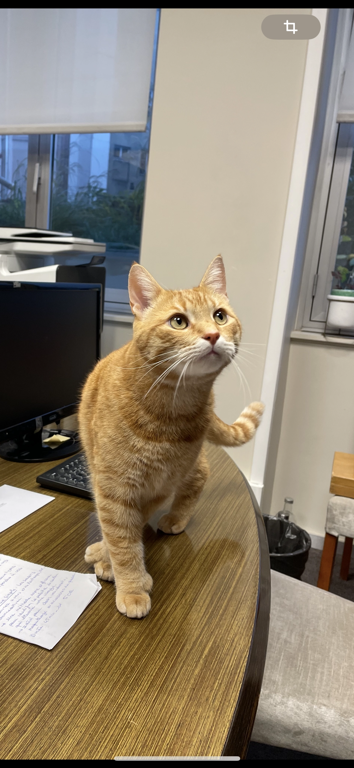 Roméo - Boulevard De La Croix-Rousse, Lyon