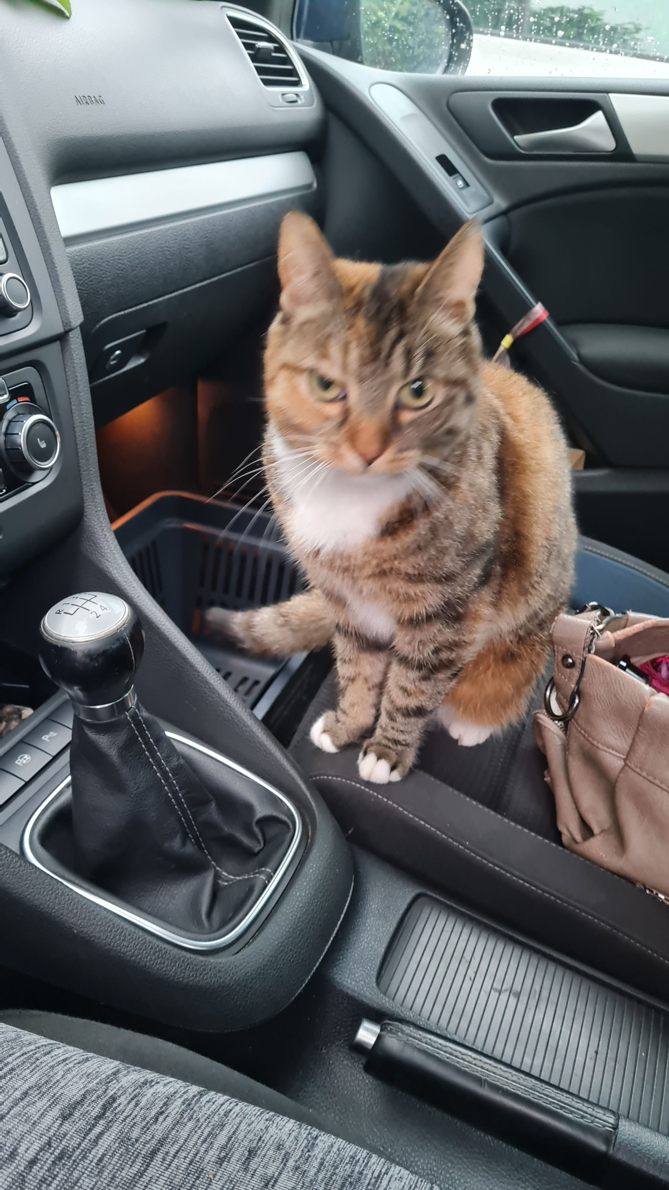 Sunny  - Bürgermeister-Brandenburg-Straße, Ludwigslust