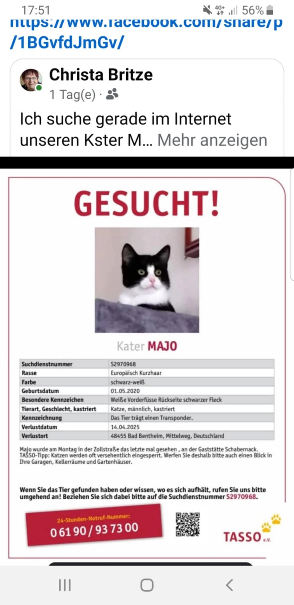 MAJO 5 Jahre  - Mittelweg, Bad Bentheim