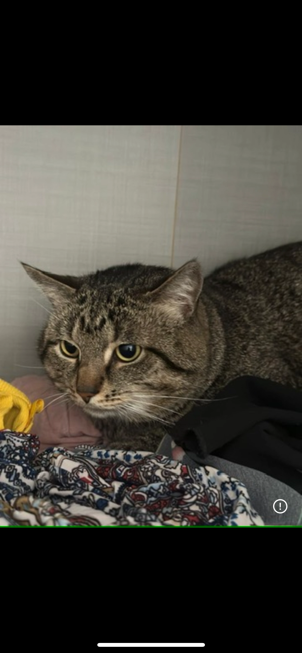 Efe - Tolleter Straße, St. Georgen bei Grieskirchen