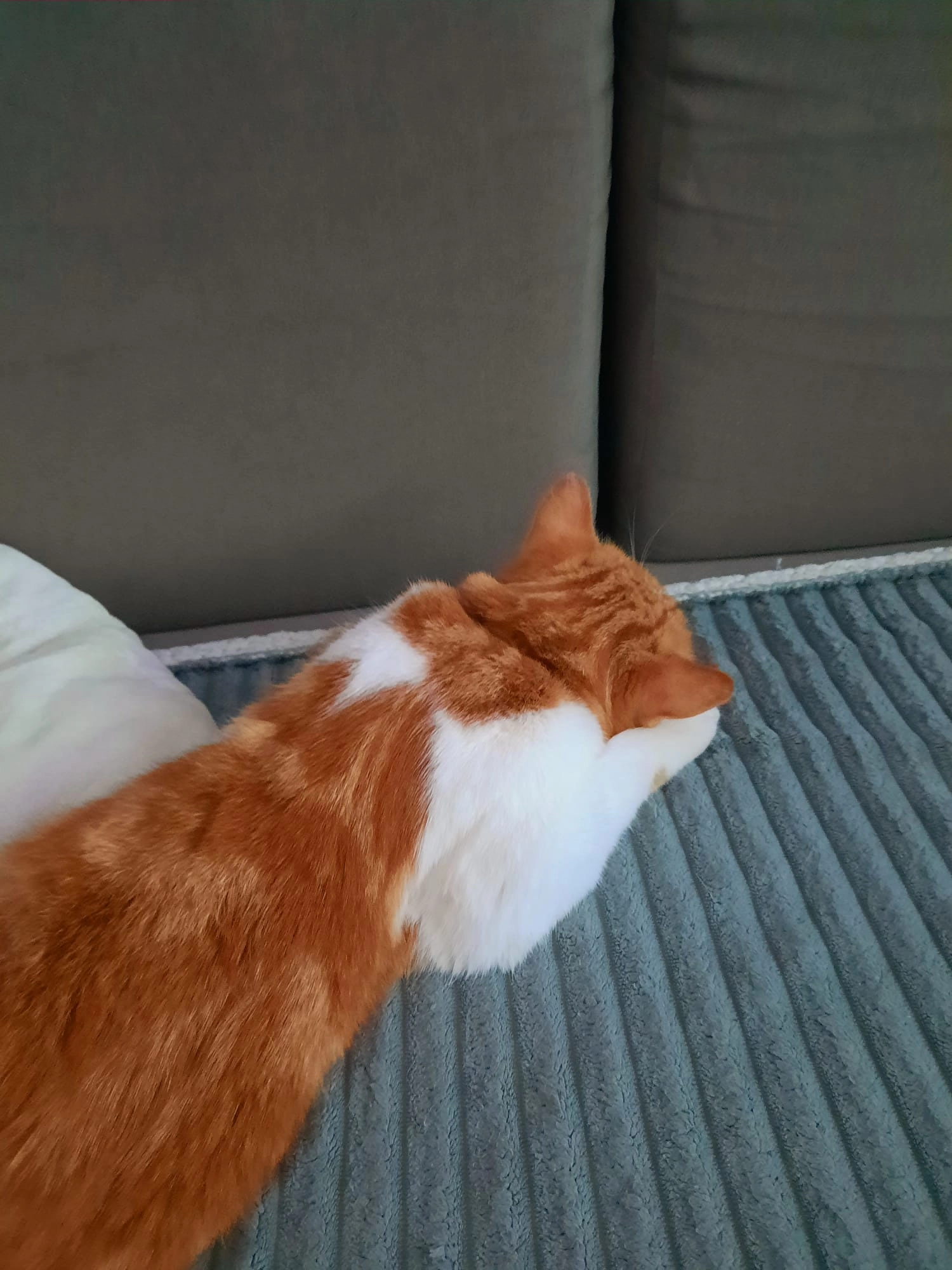 Milli - Rottenmairstraße 2, Kremsmünster