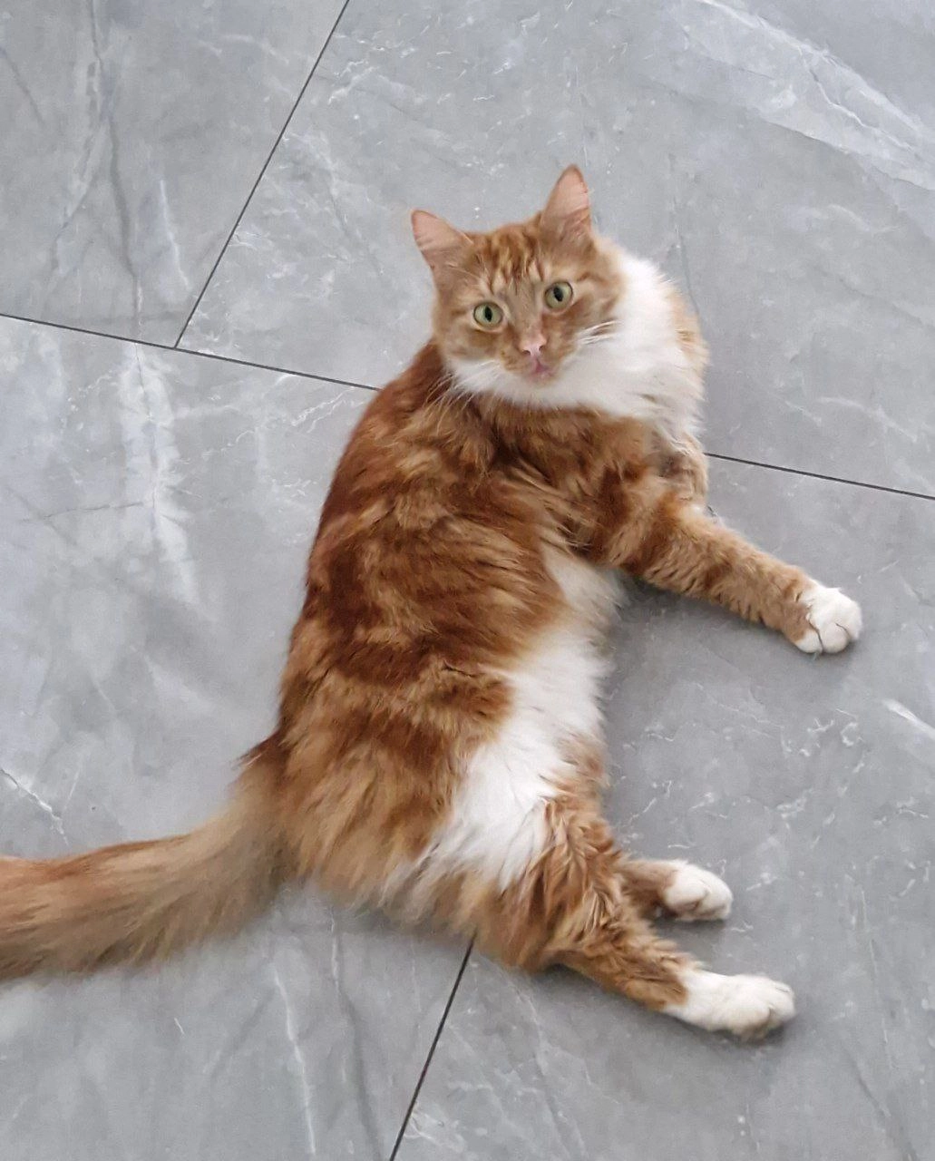 Leva - Šampēter, Riga