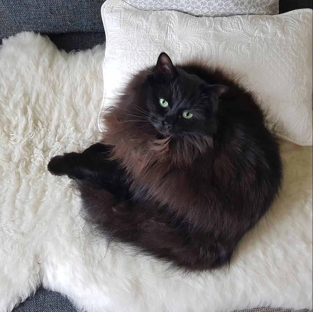 Didi - Bouwhof, Bemmel