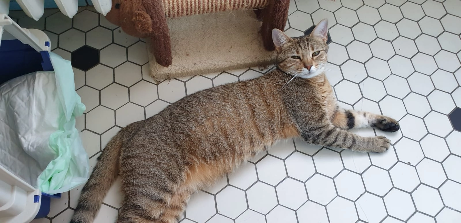 Twix - Rue Claude Debussy, Vieux-Boucau-les-Bains