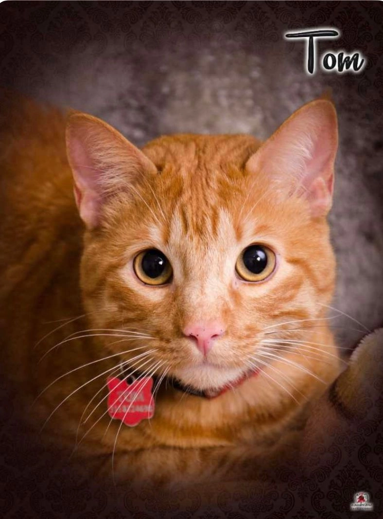 TOM - Bairro Caixa Previdência , Coimbra