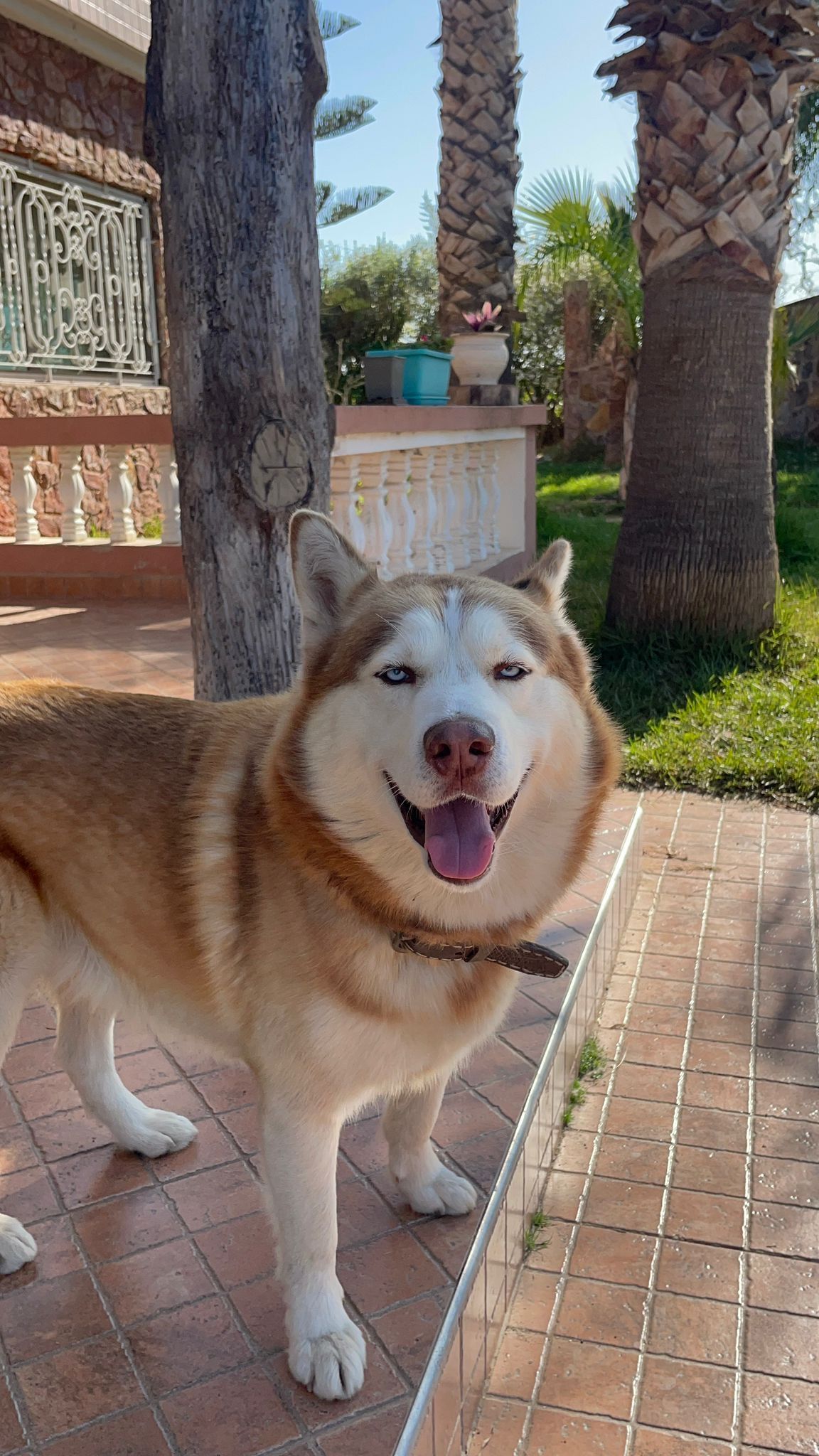 Ghost  - 13, Ain Tizgha