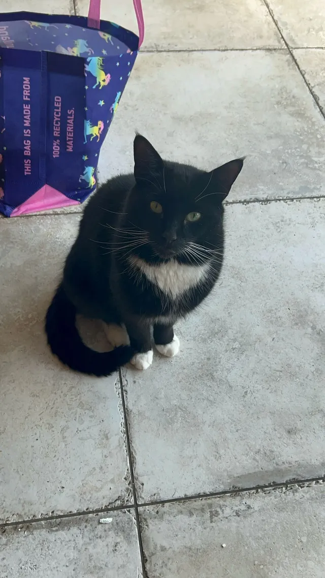 dexter - Barkham Street, Wokingham