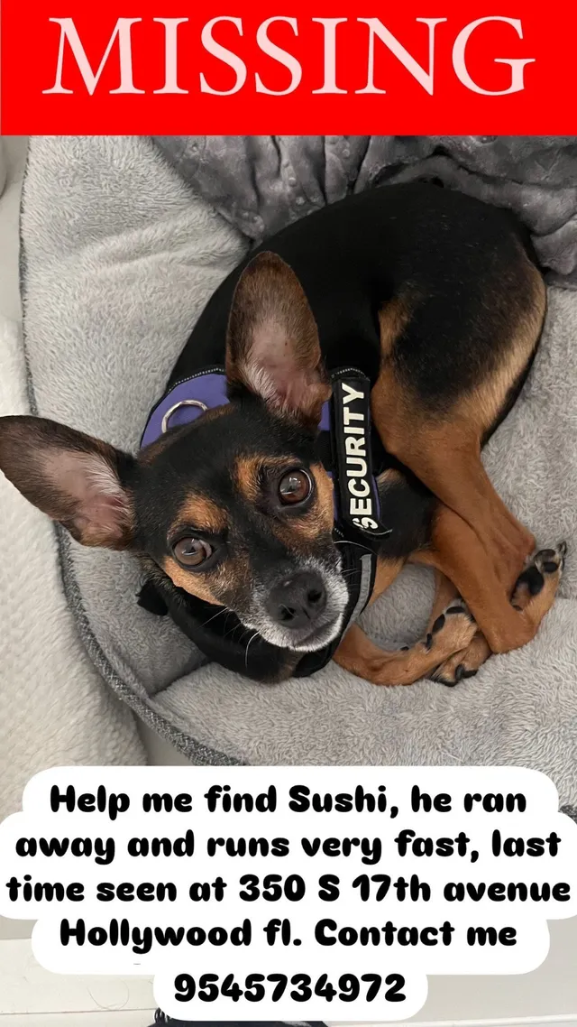 Sushi  - 350 S 17th Ave, Hollywood