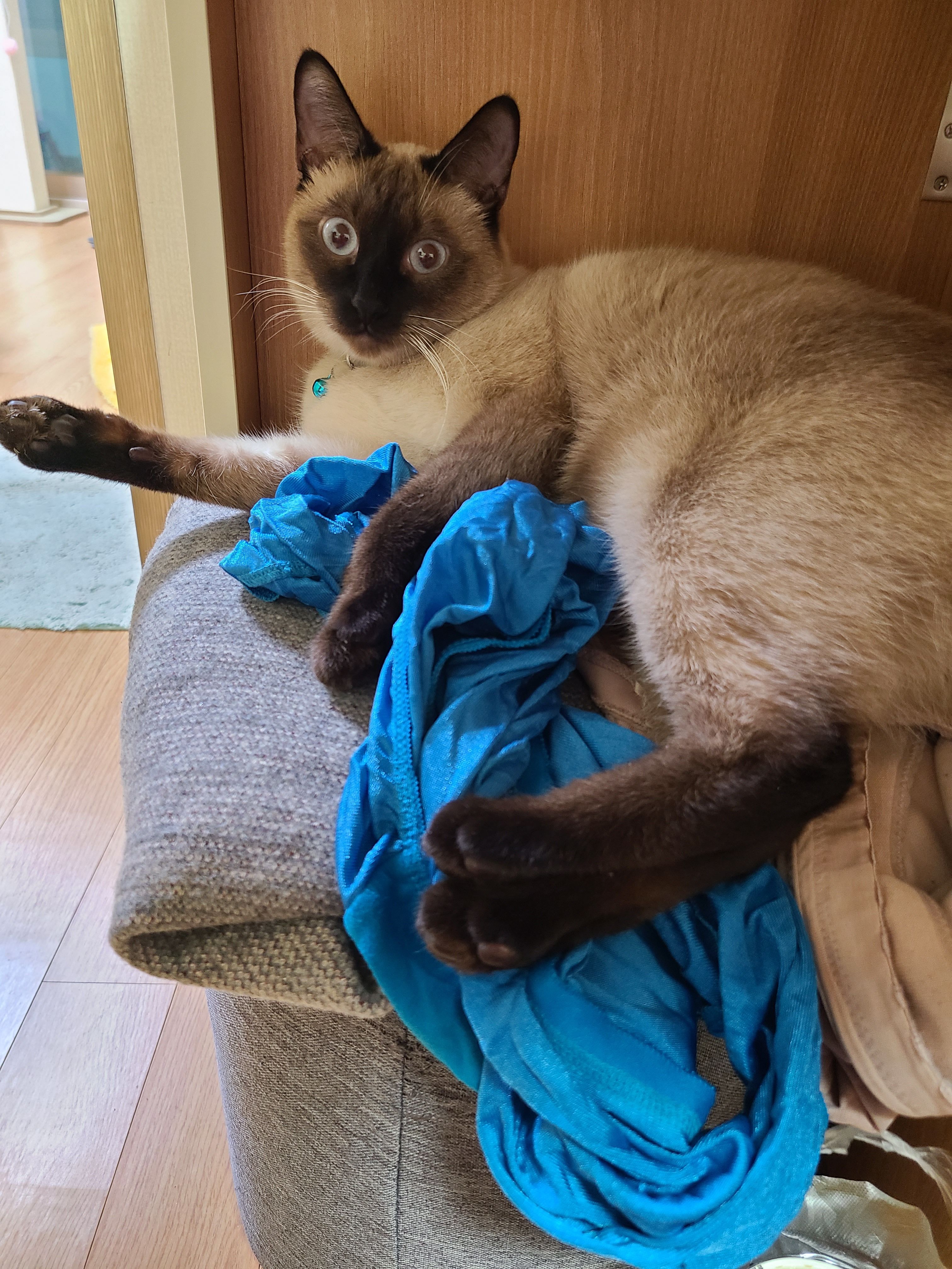 Remus - 불광로14길, Seoul