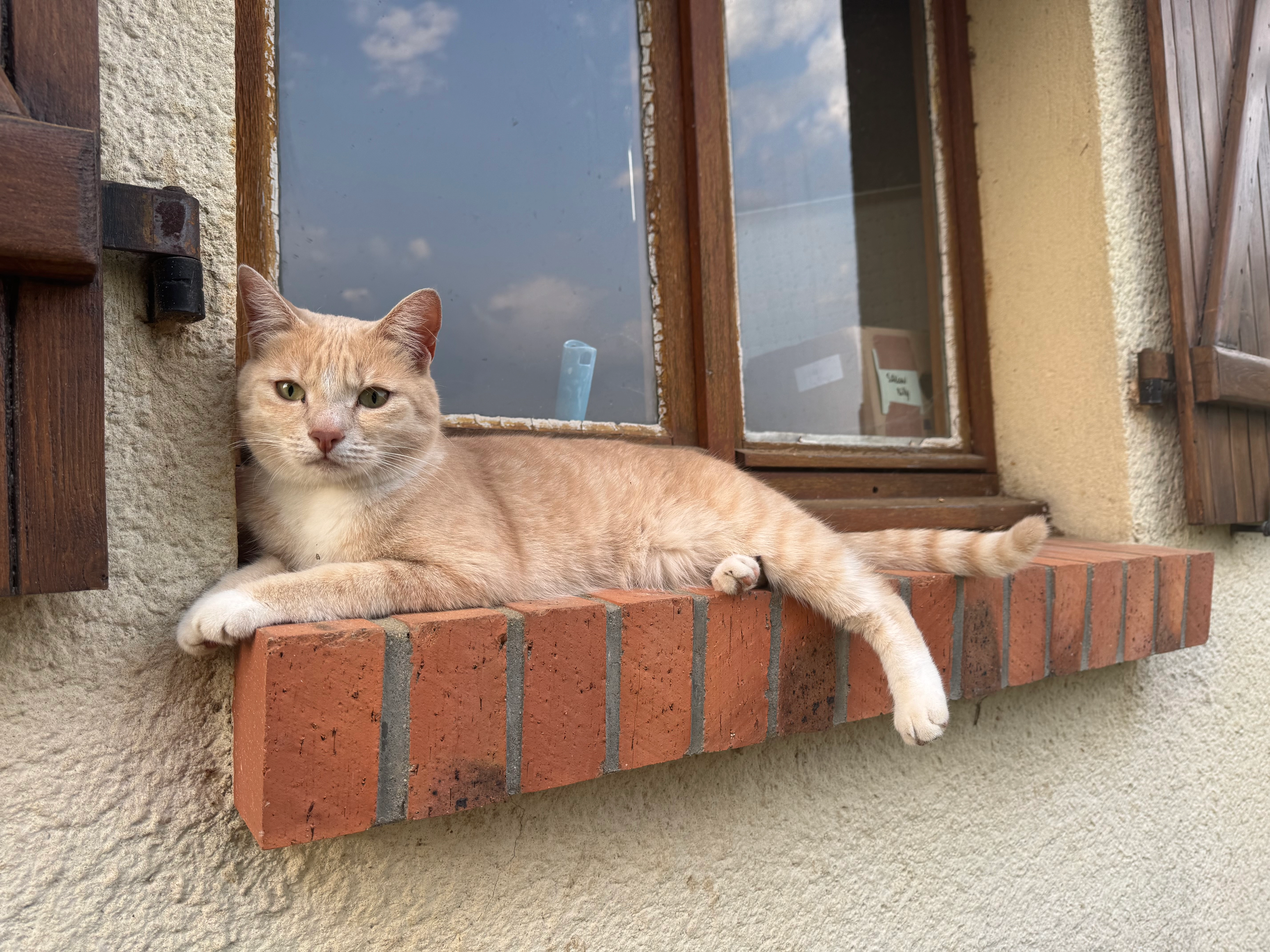 Rosie  - D58, Saint-Étienne-la-Thillaye