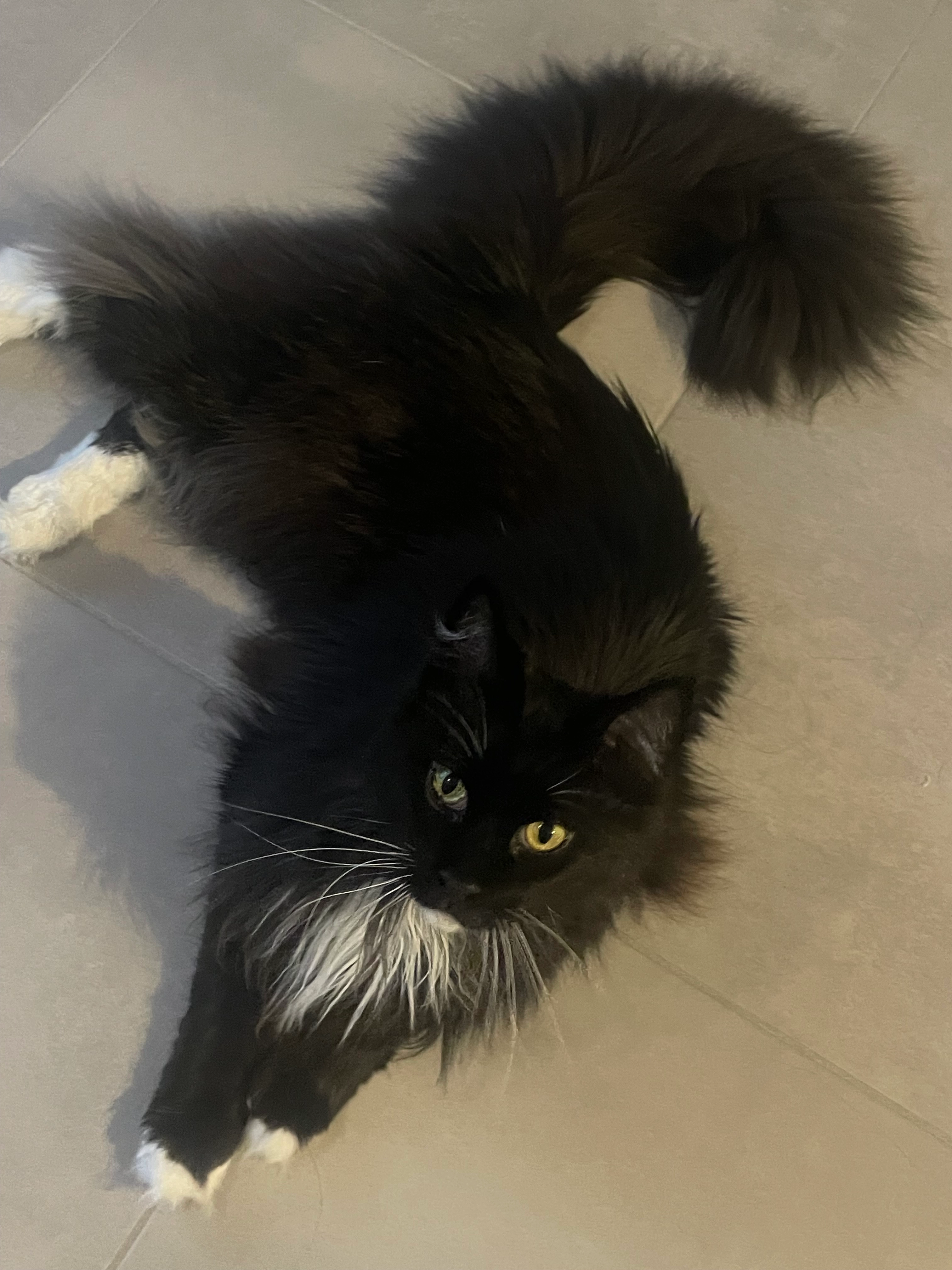 Miyazaki - Rue Claude et Simone Millot, Nantes