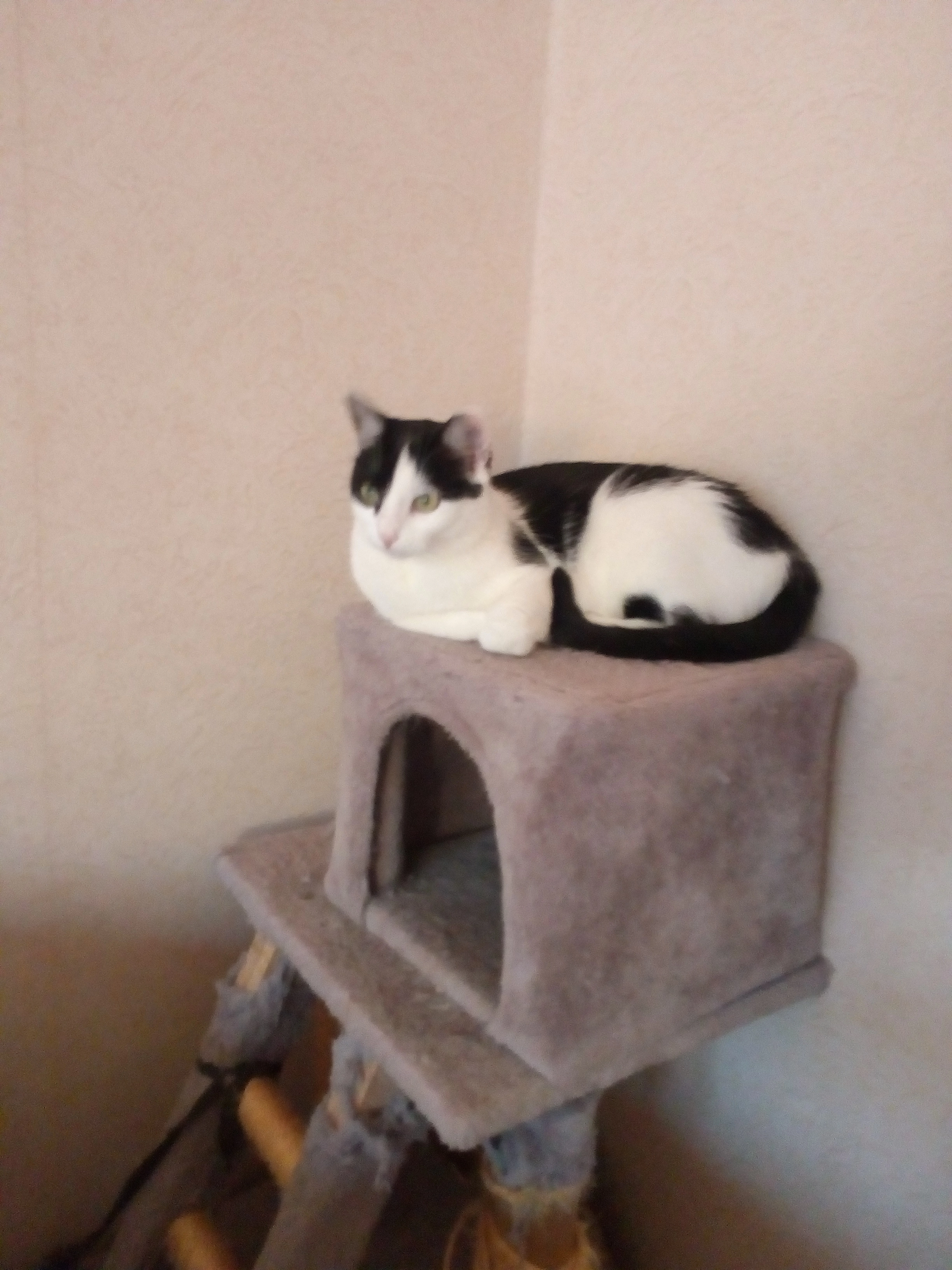 Cleo - Schützenstraße, Rheinberg