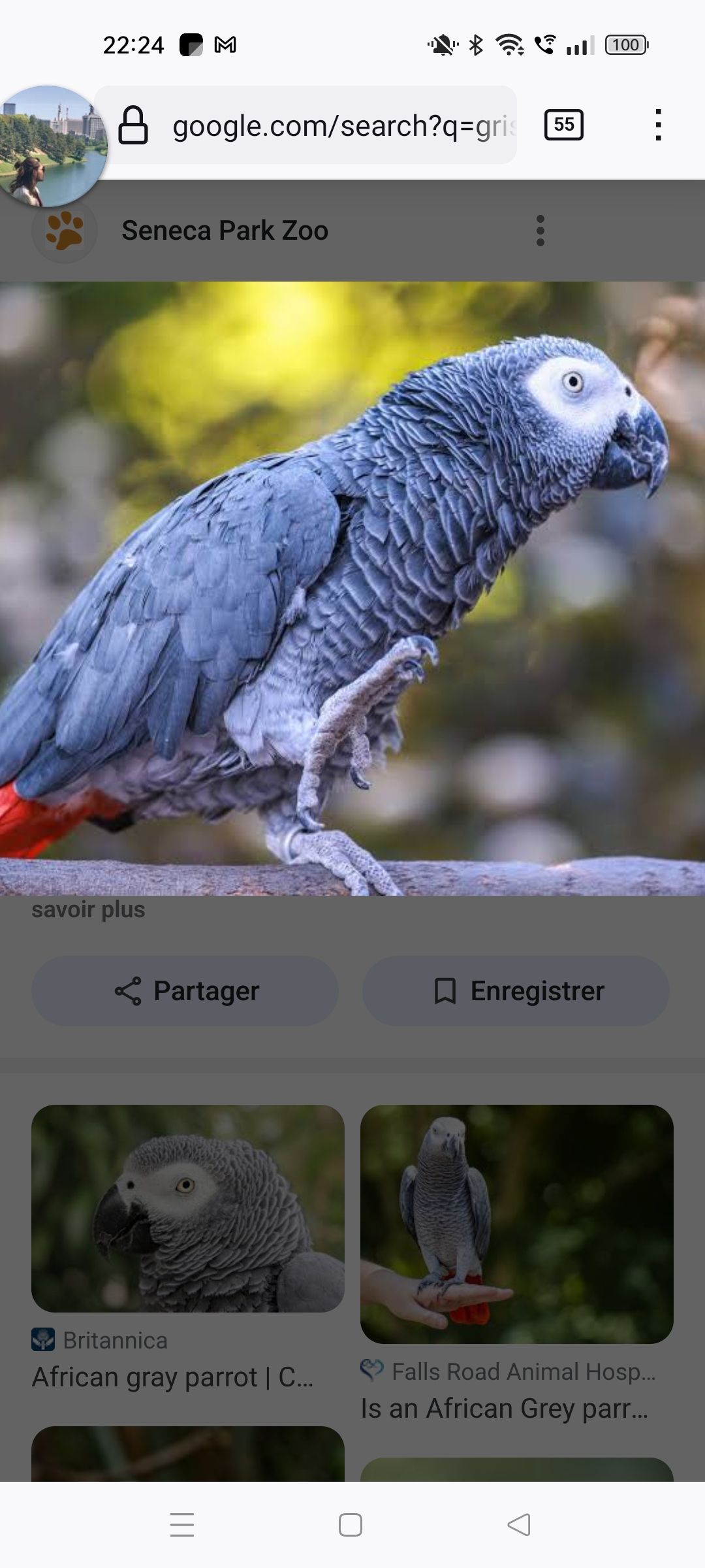 Lilo  - Allée Rosa Parks, Saint-Nazaire