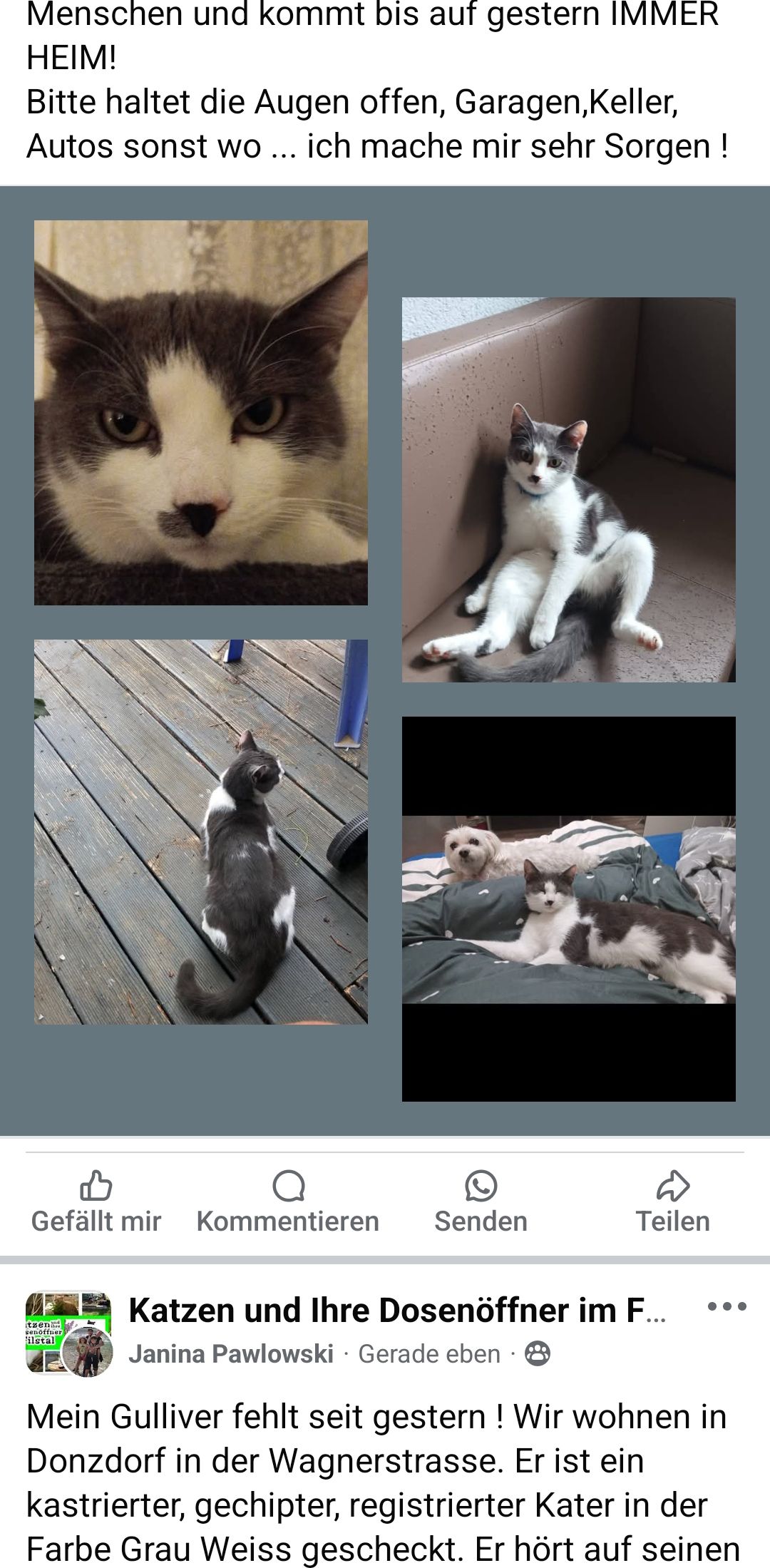 Gulliver  - Wagnerstraße, Donzdorf