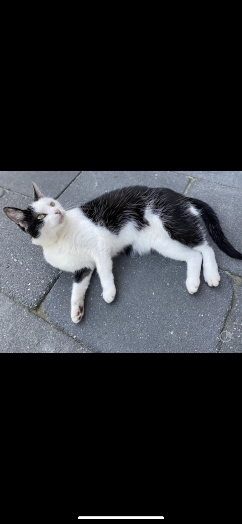 Lara - Sleedoorn, Emmen