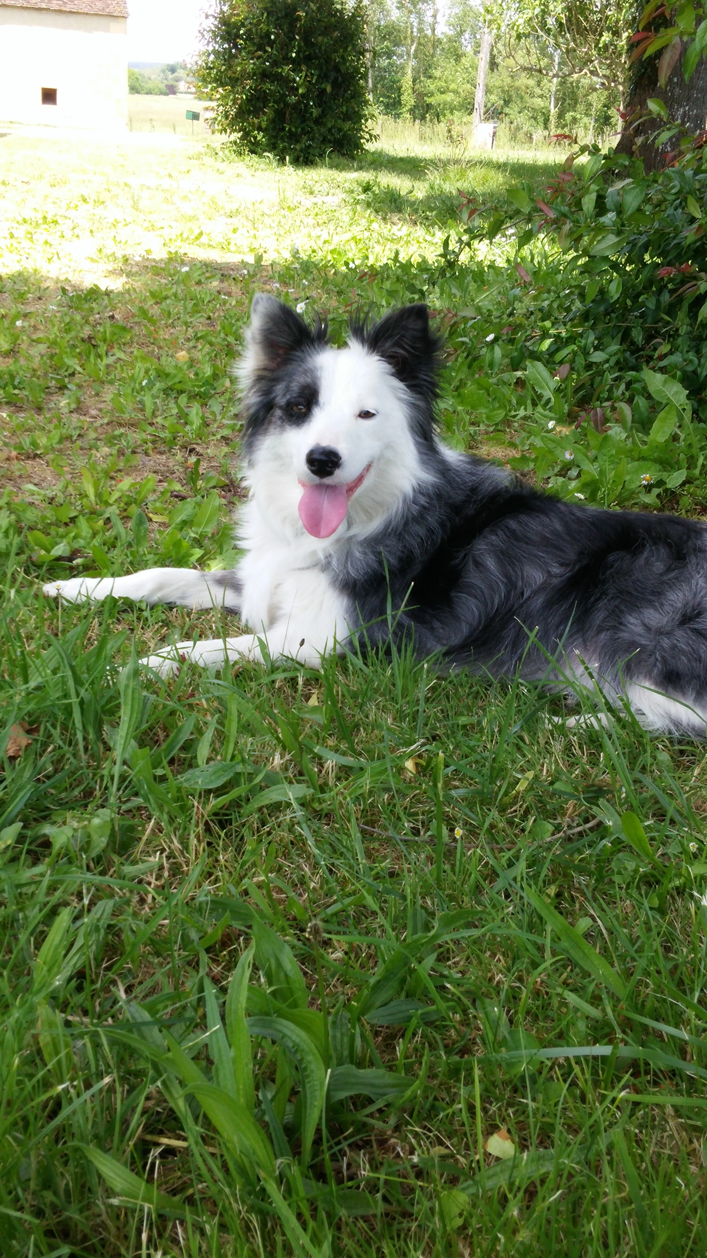 Houpette - Chemin du Monge, Lamonzie-Saint-Martin