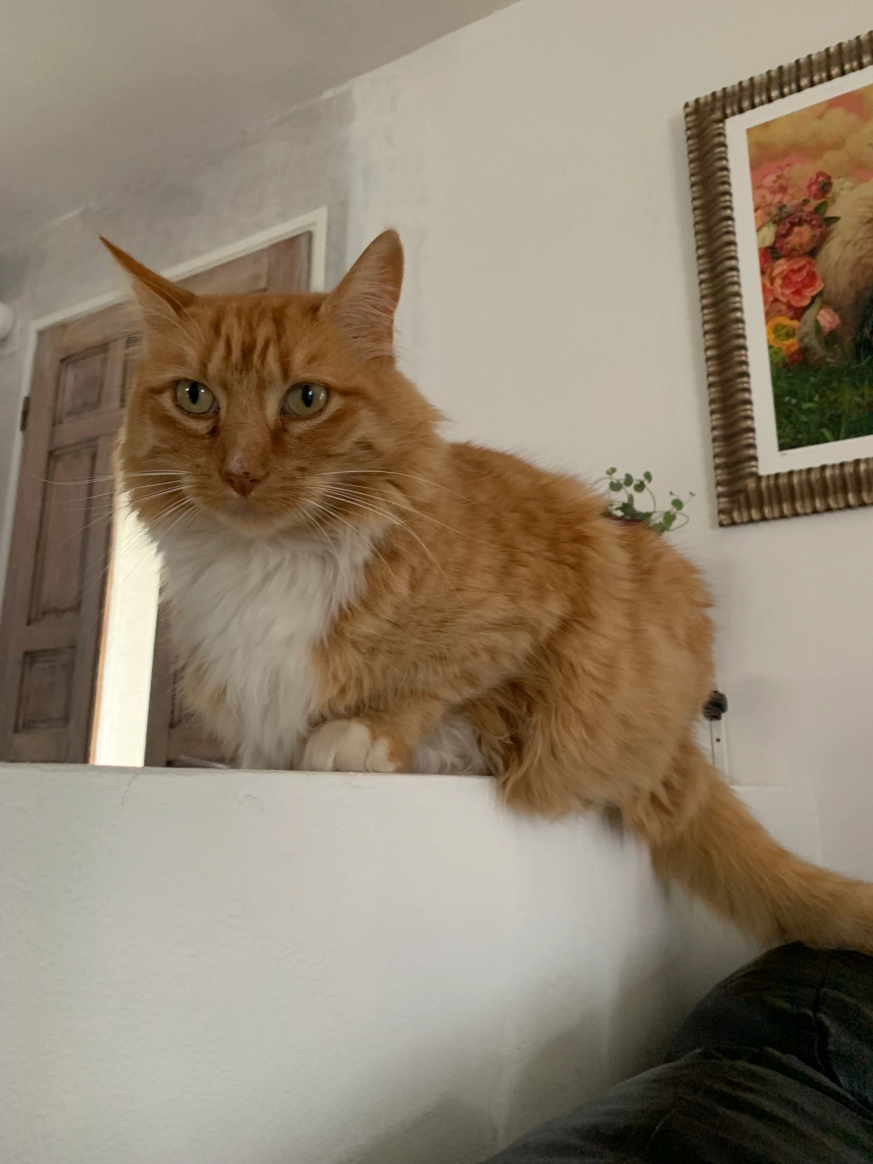 Tyrion - 17 Rue de Montaigu, Horgues