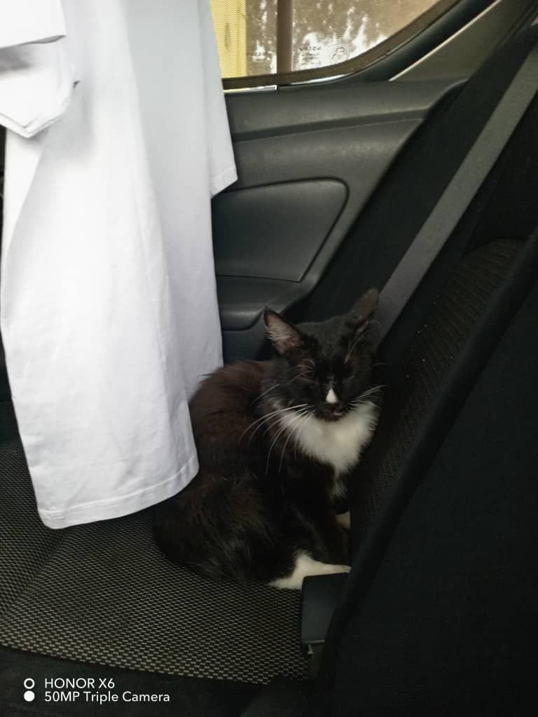 Hitam  - 16810, Selising