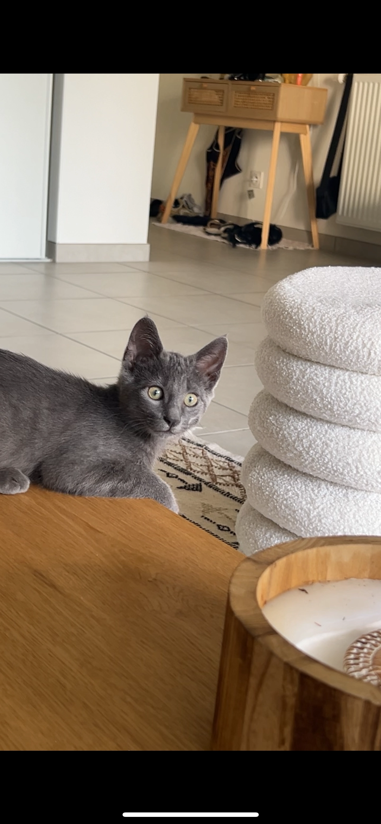 Yummy - Avenue Jean Jaurès, Saint-Priest