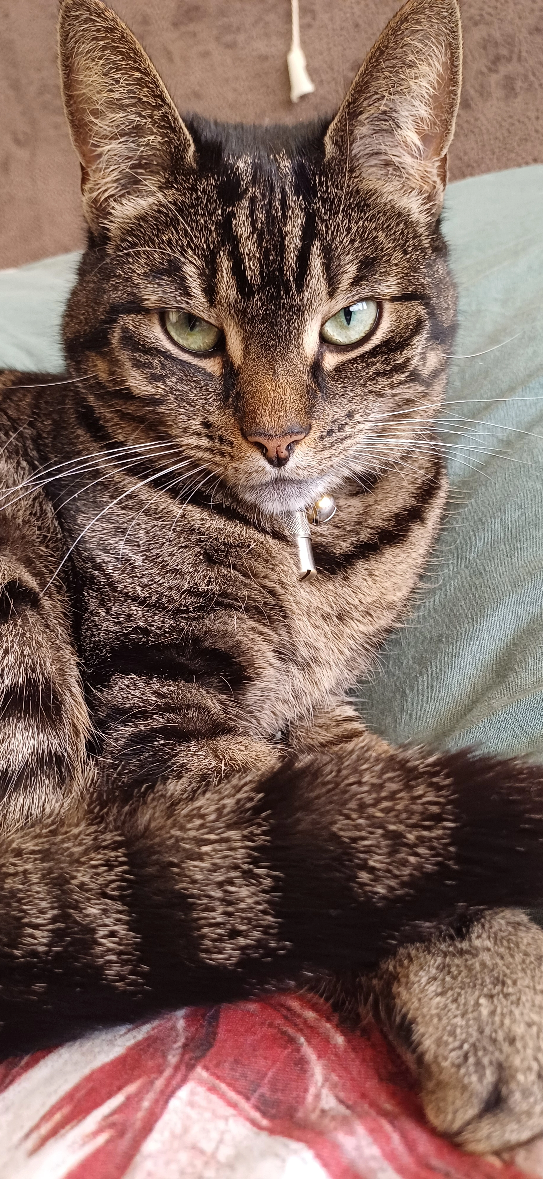 Chilly - Van Deylweg, Renswoude