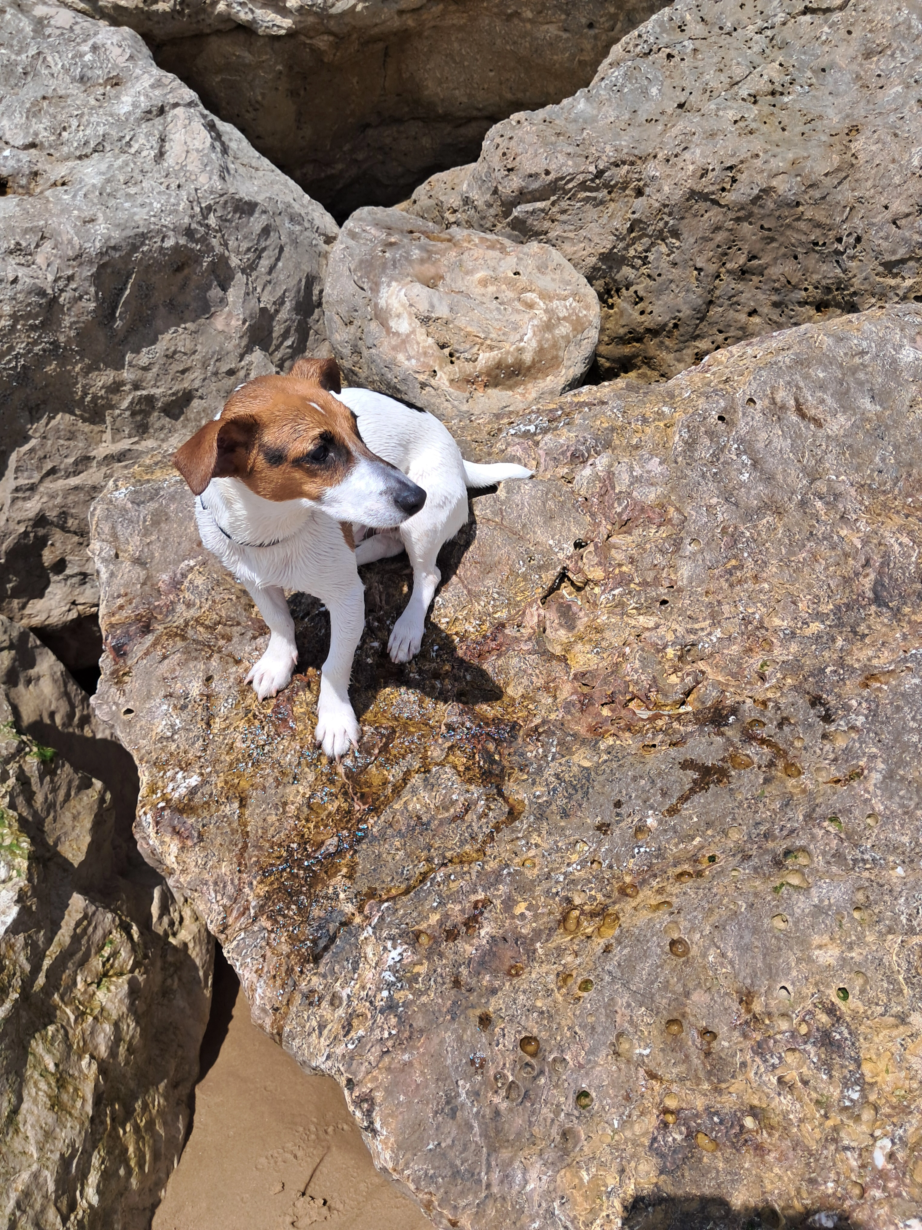 Manu - Rua Virgílio Correia, Lisboa
