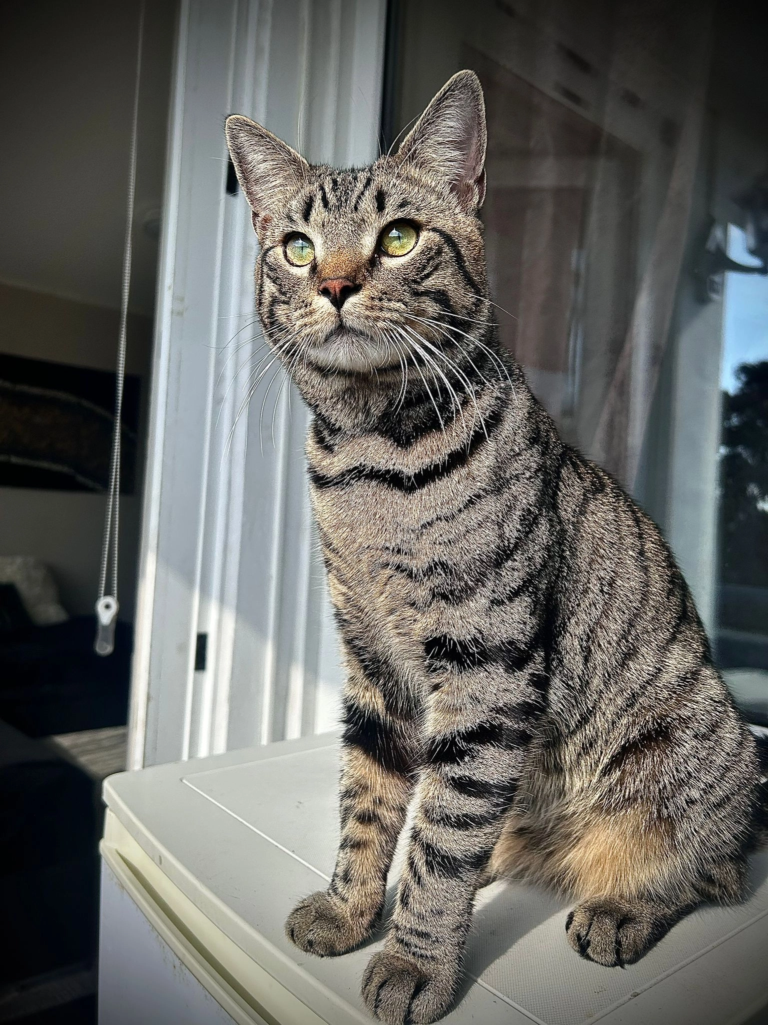 Murphy - Max-Klinger-Straße, Hamburg