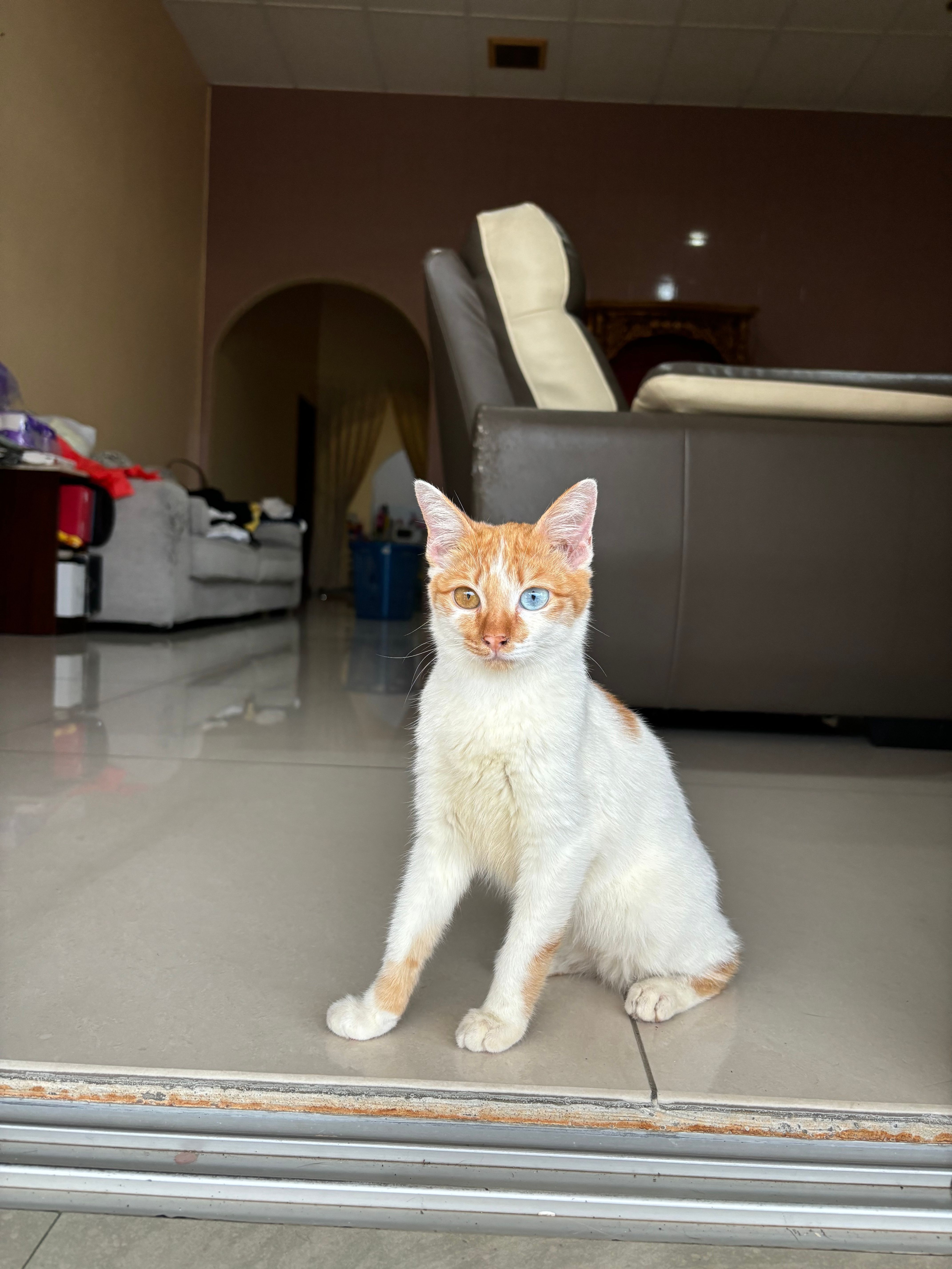 Gulu - 42700, Banting