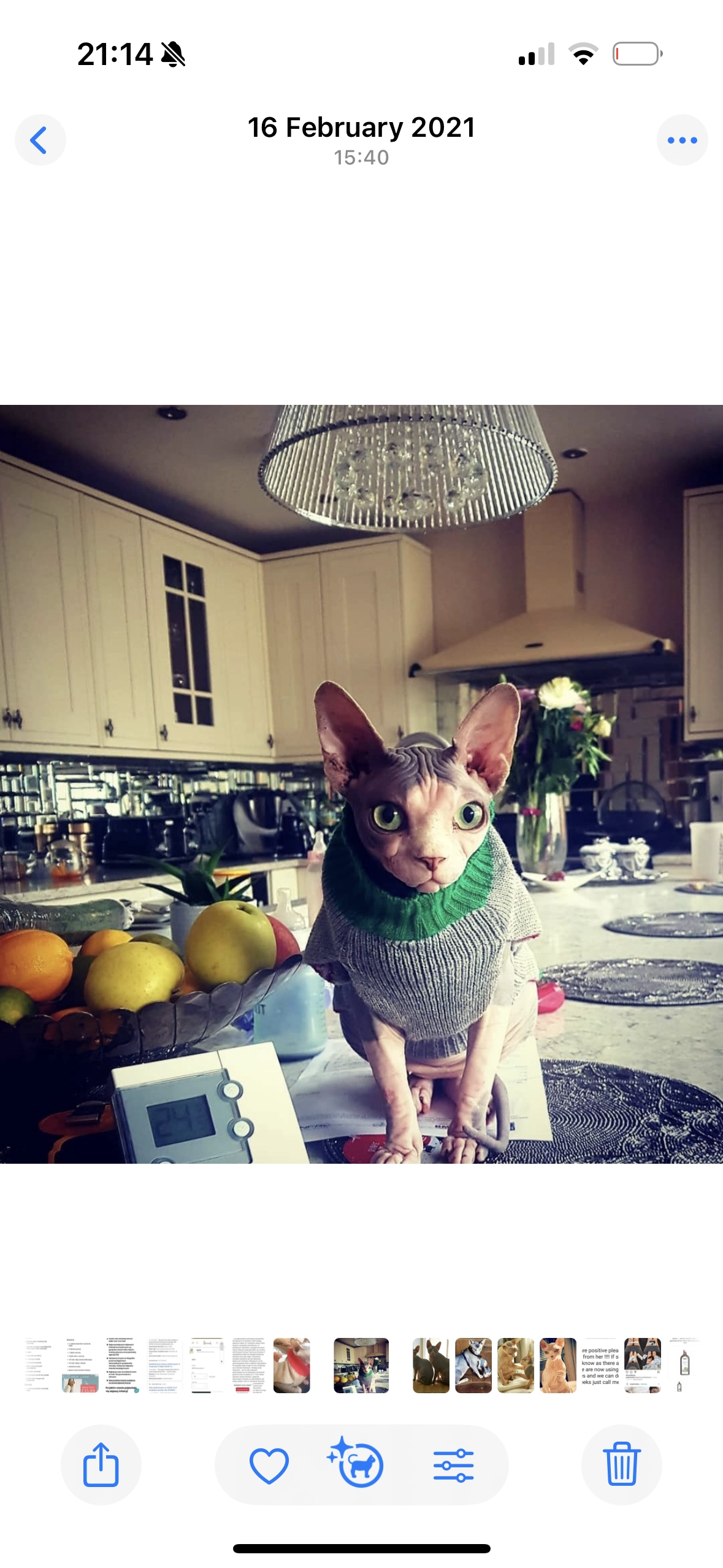 Gucci - Romney Road, Hayes