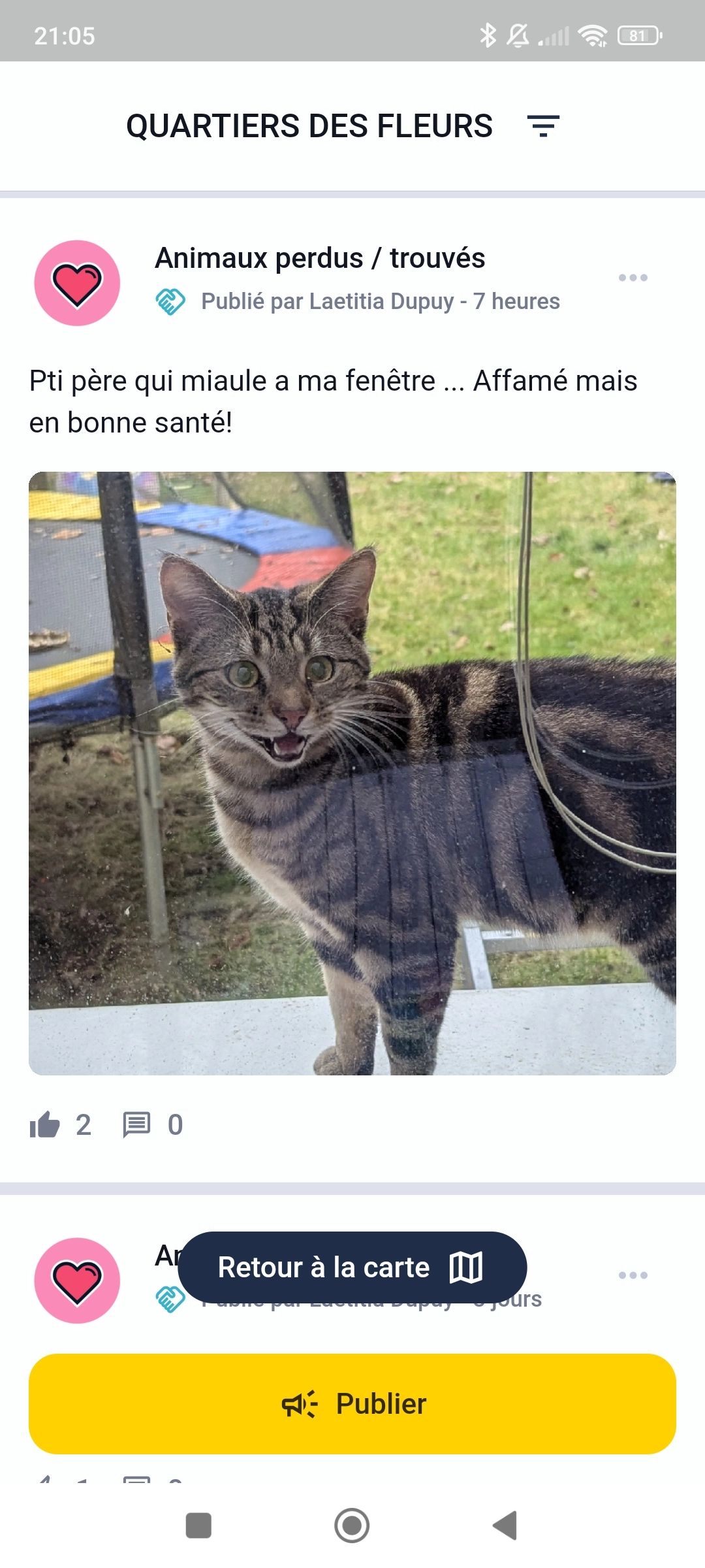 Schizu - Limours, Rosslare