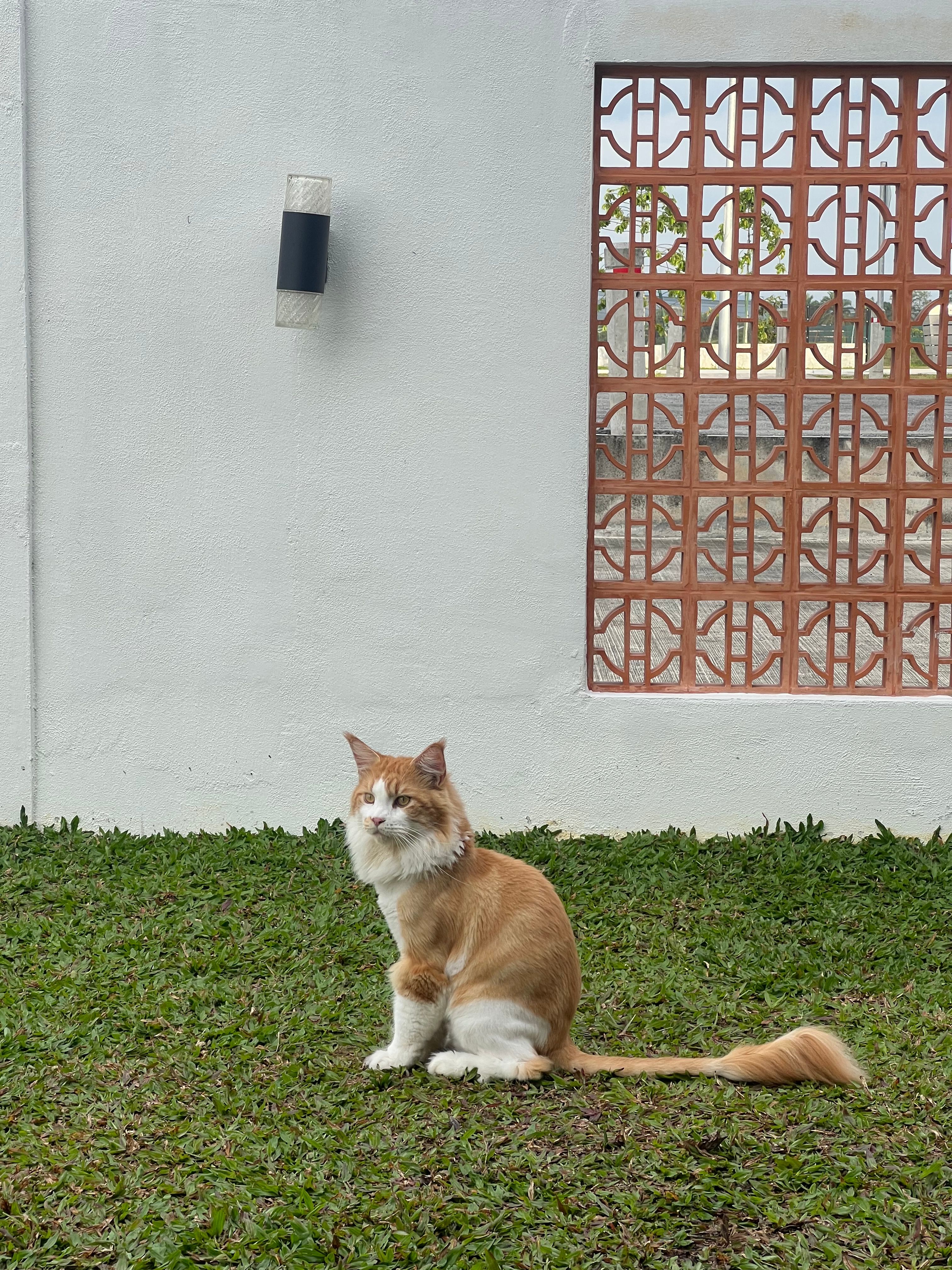 Gizmo - 40160, Shah Alam