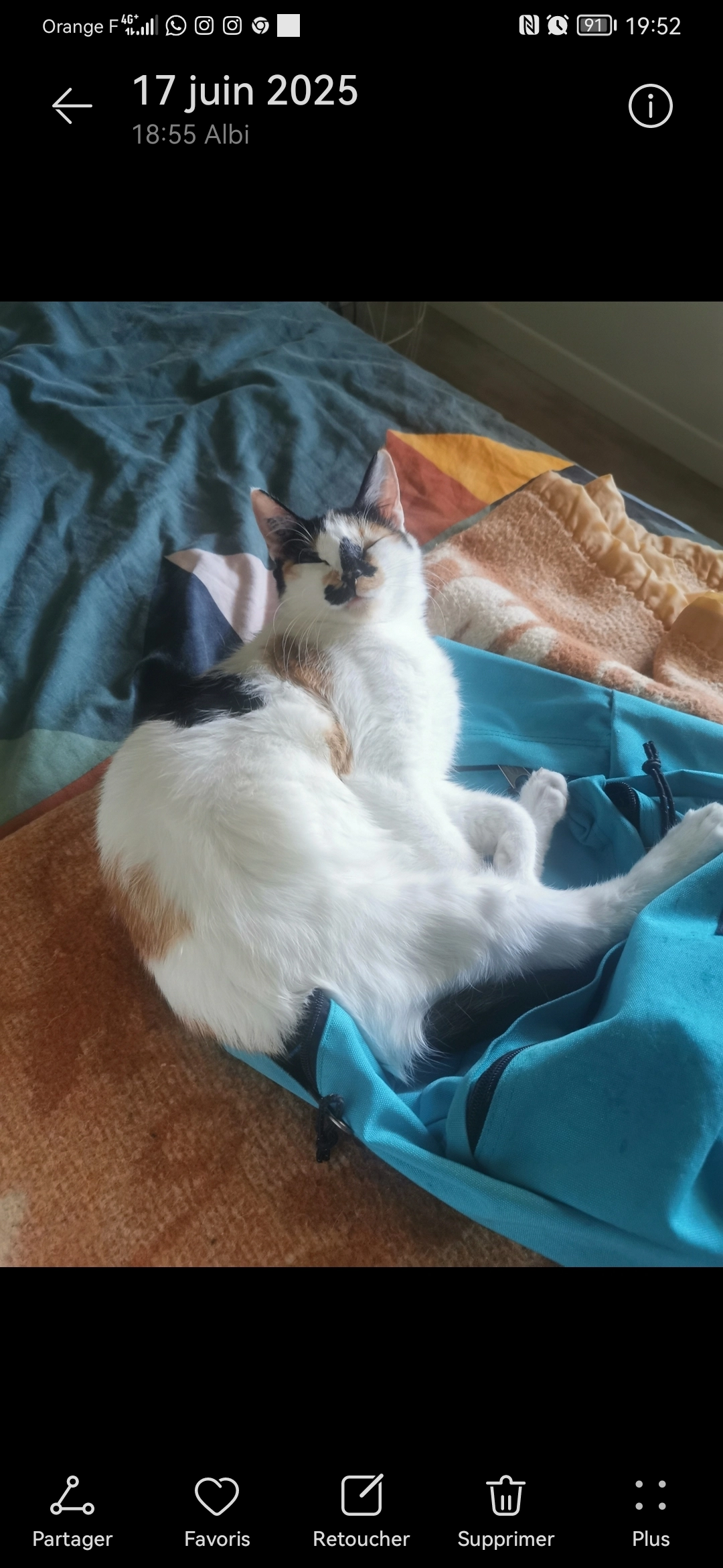 Tina - Chemin D'esteville, Albi