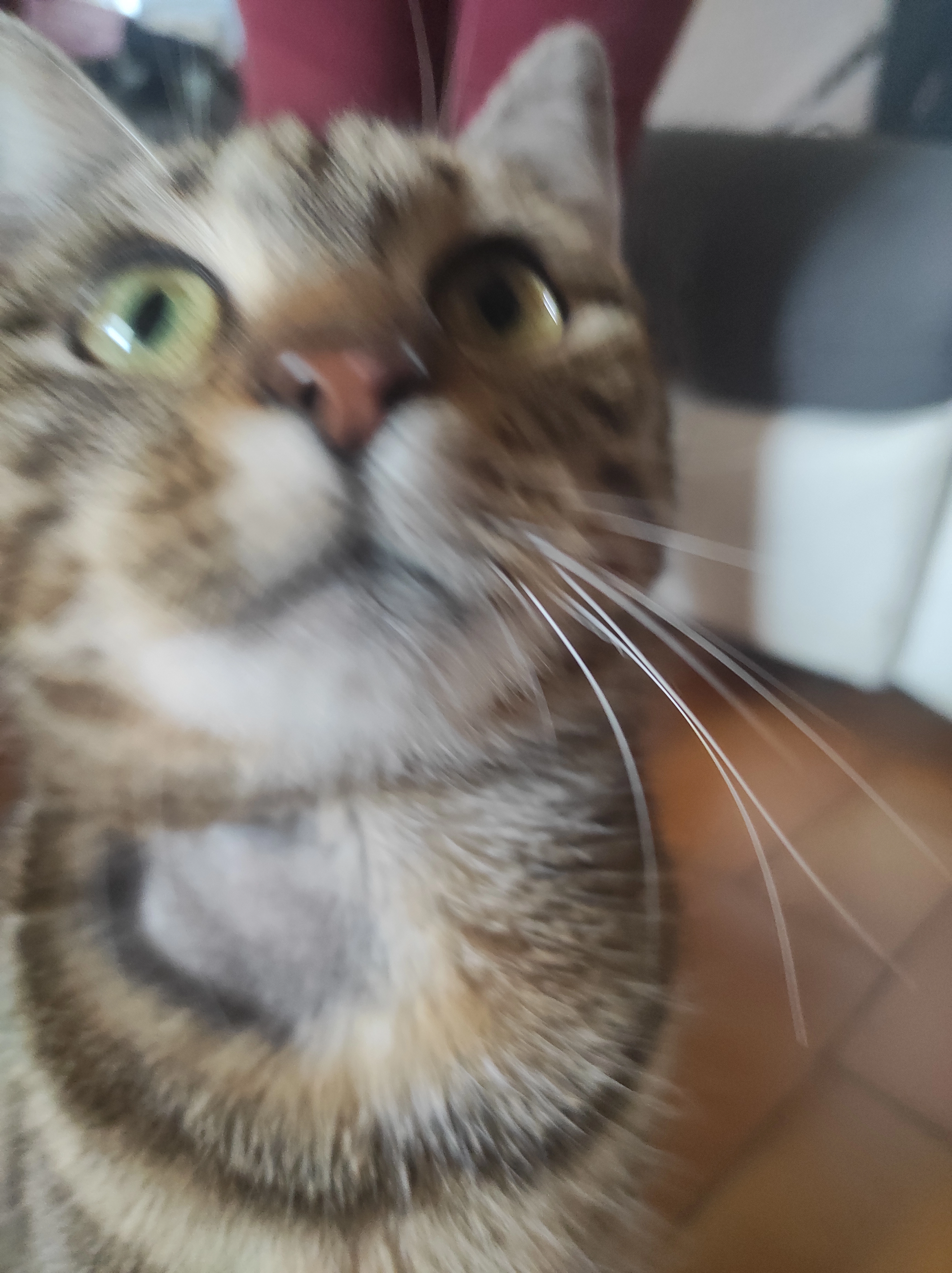 Minette - Route de Laval, Laval-en-Brie