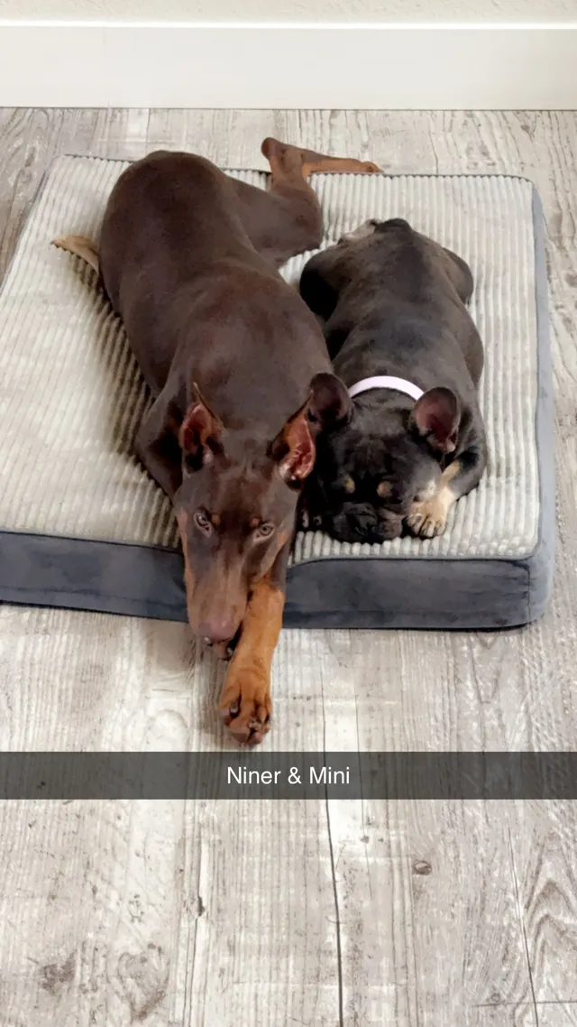 Niner and mi ir  - Summerfield Drive Southeast, Salem