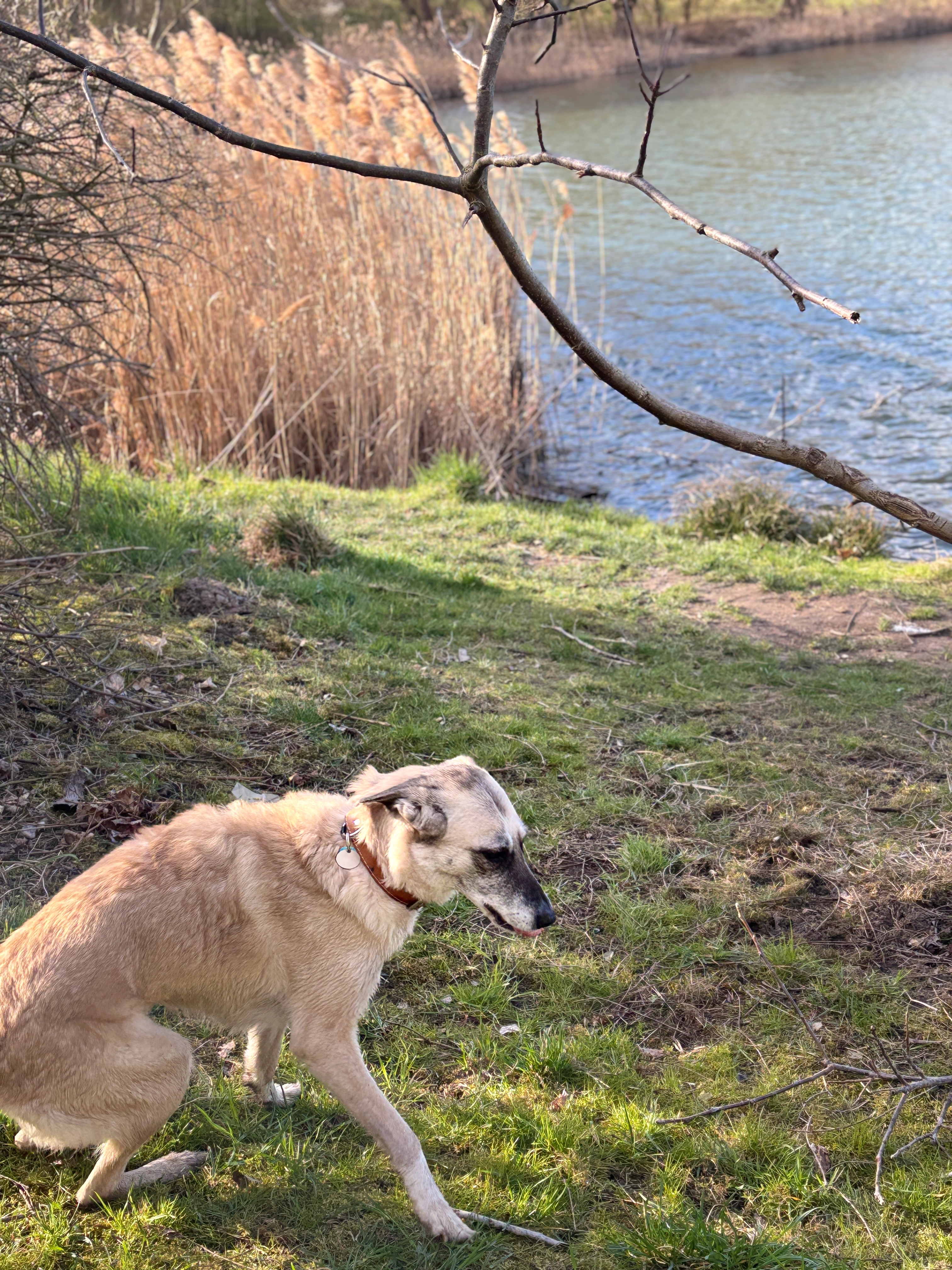 Ayla - Gerhard-Ellrodt-Straße, Leipzig