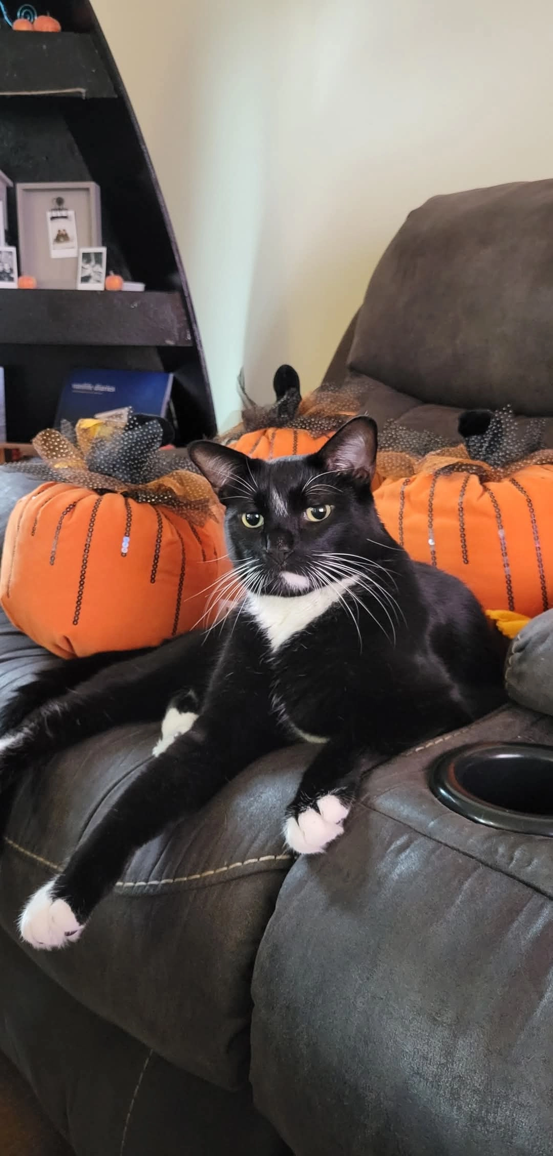 Domino - Pellinger Straße, Trier